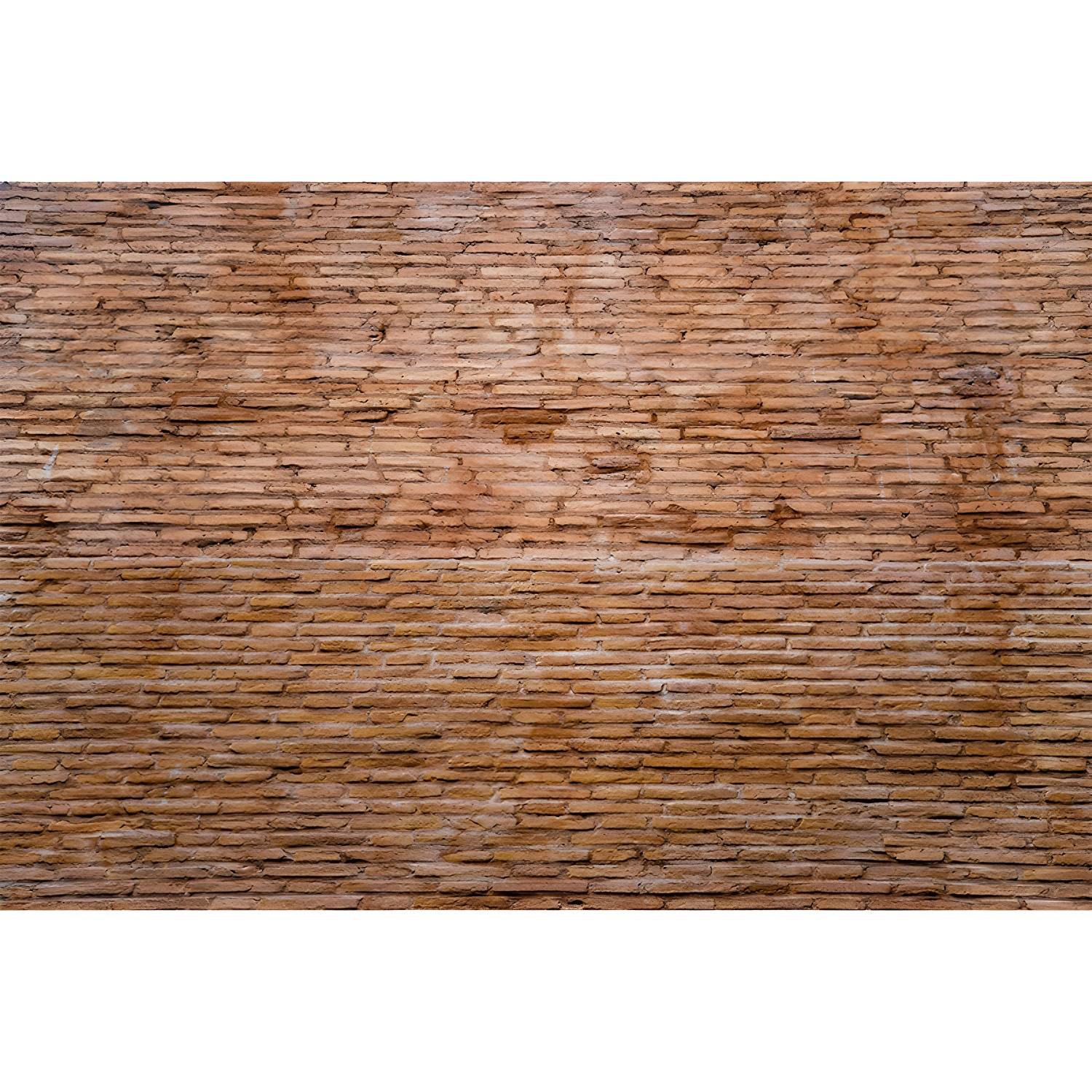 Imported image 5d31b1dde89e 3341253.jpg