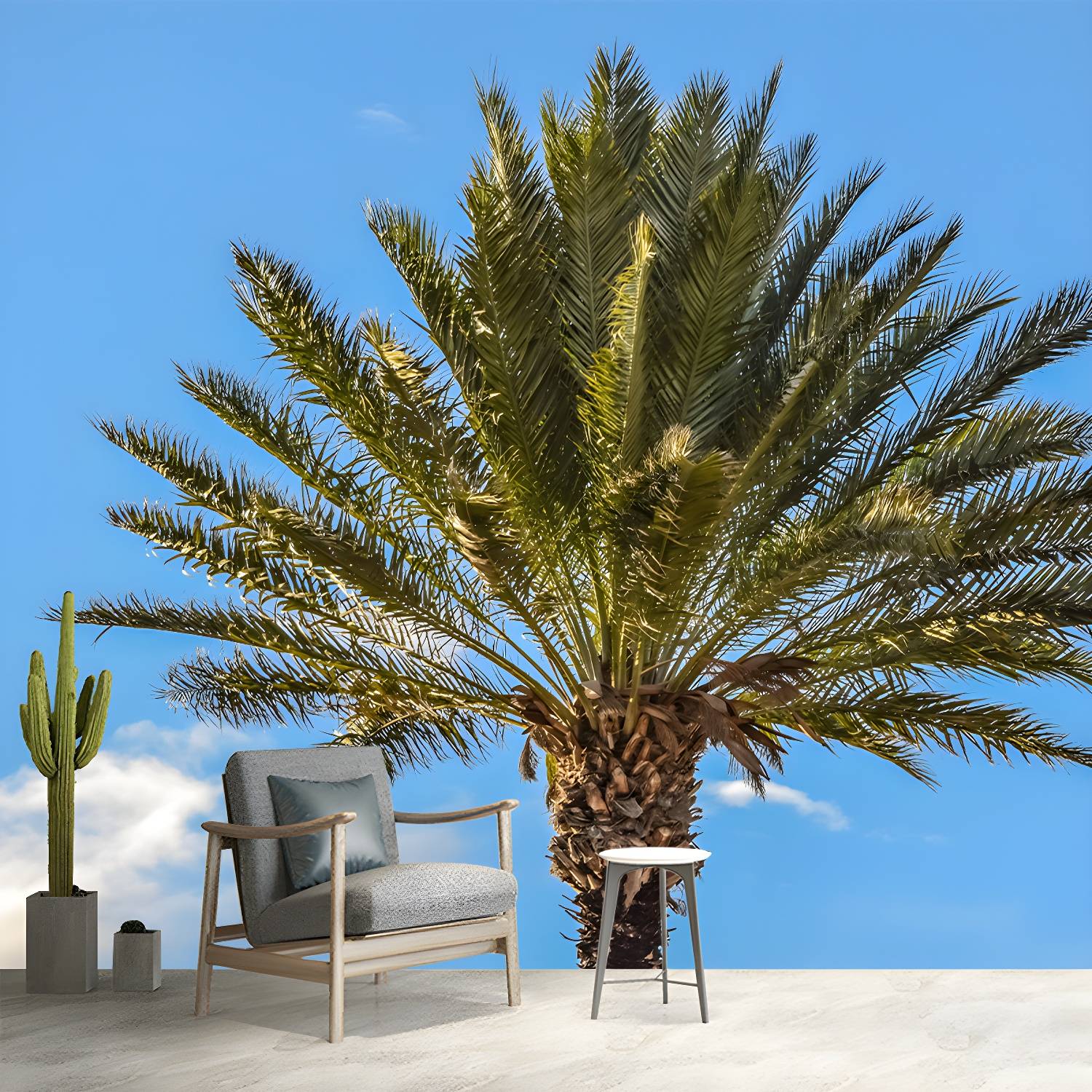 Imported image 771b48de9d9d 3341286.jpg