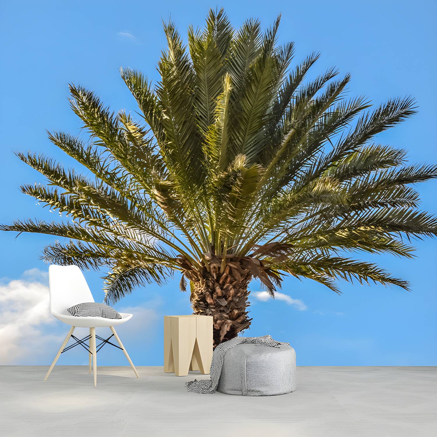 Imported image 9851ca1407df 3341287.jpg