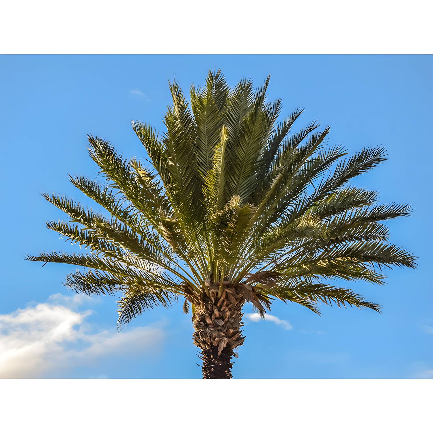 Imported image a22c4edd83d2 3341289.jpg