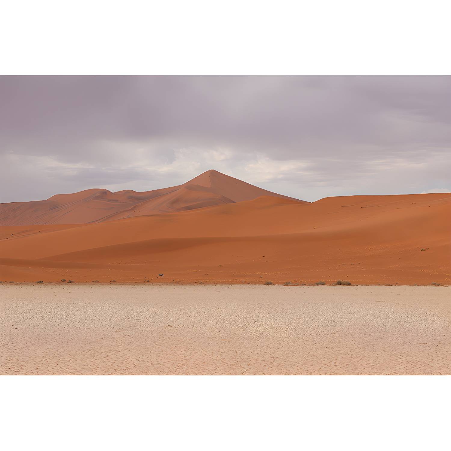 Imported image a0b786e6c647 3341595.jpg