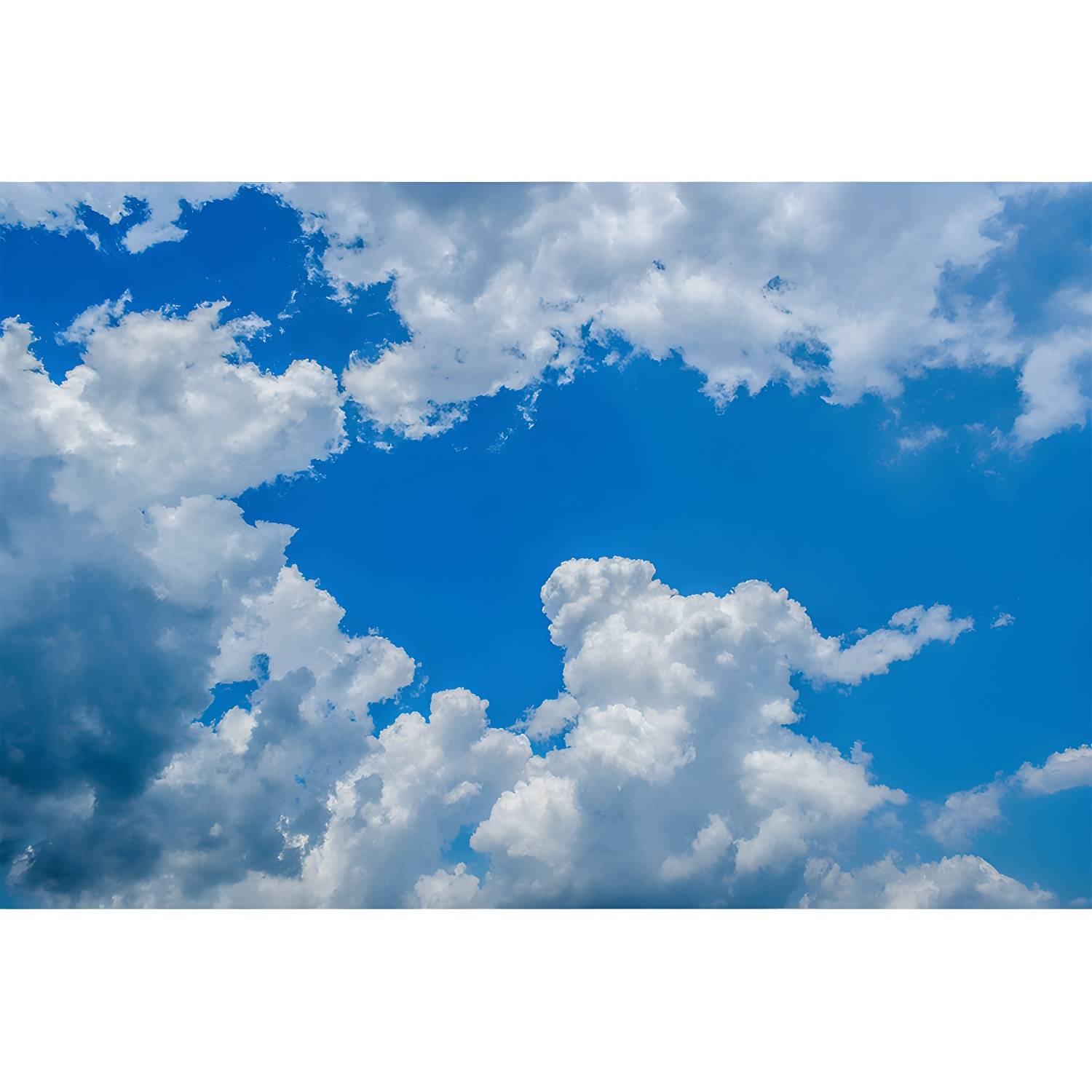 Imported image 3549c2f924d5 3341747.jpg