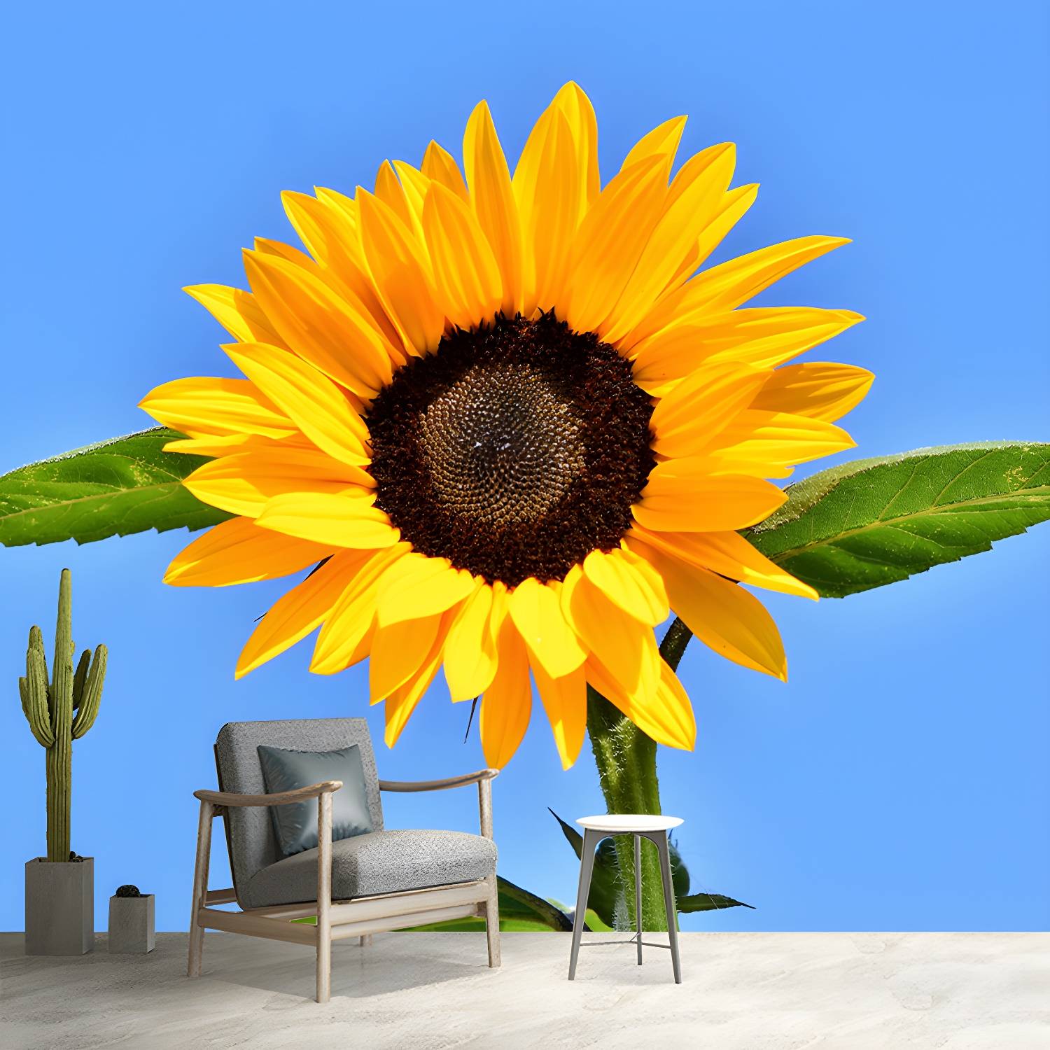 Imported image 15ab77eb87c3 3341954.jpg