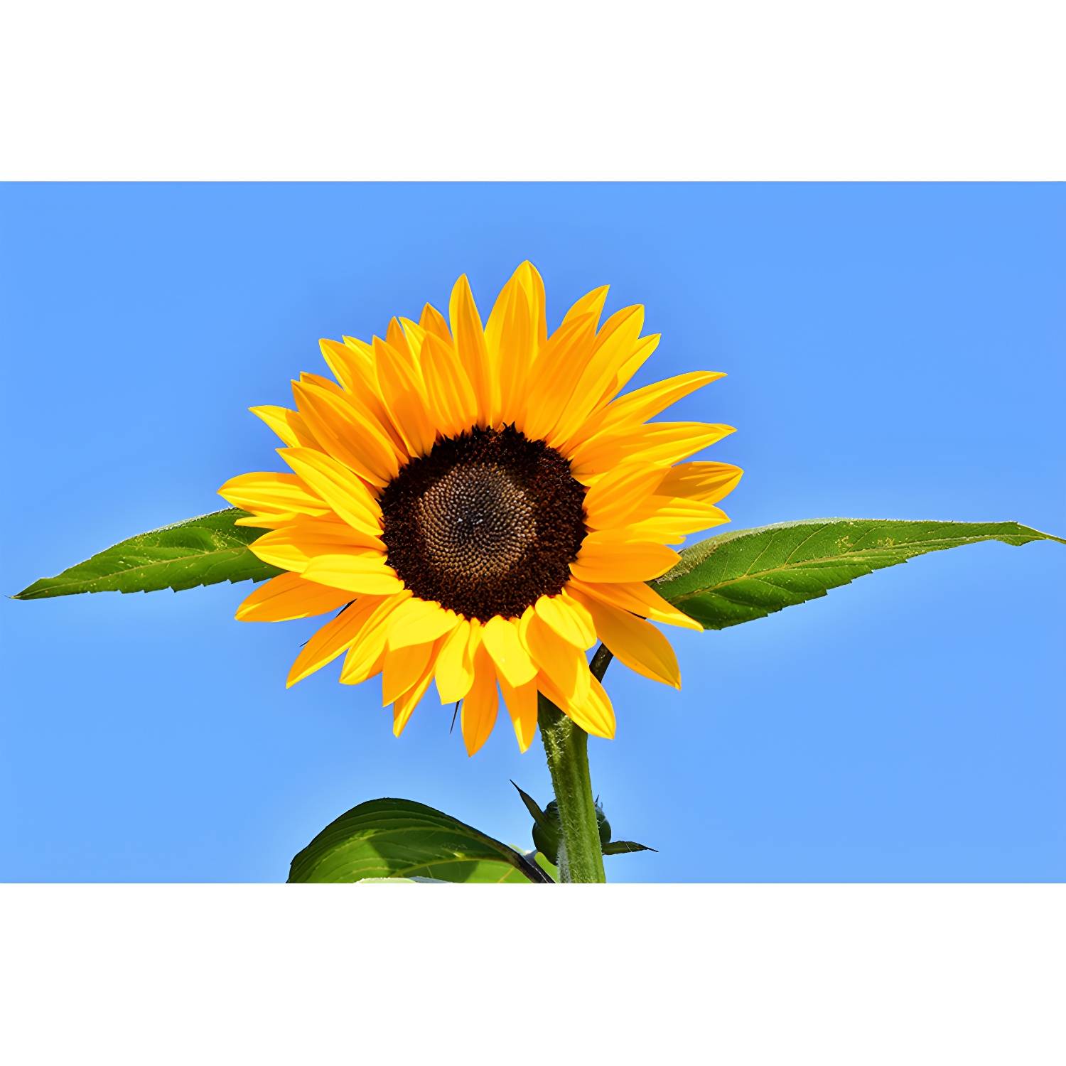 Imported image 92649ccc0ea4 3341955.jpg