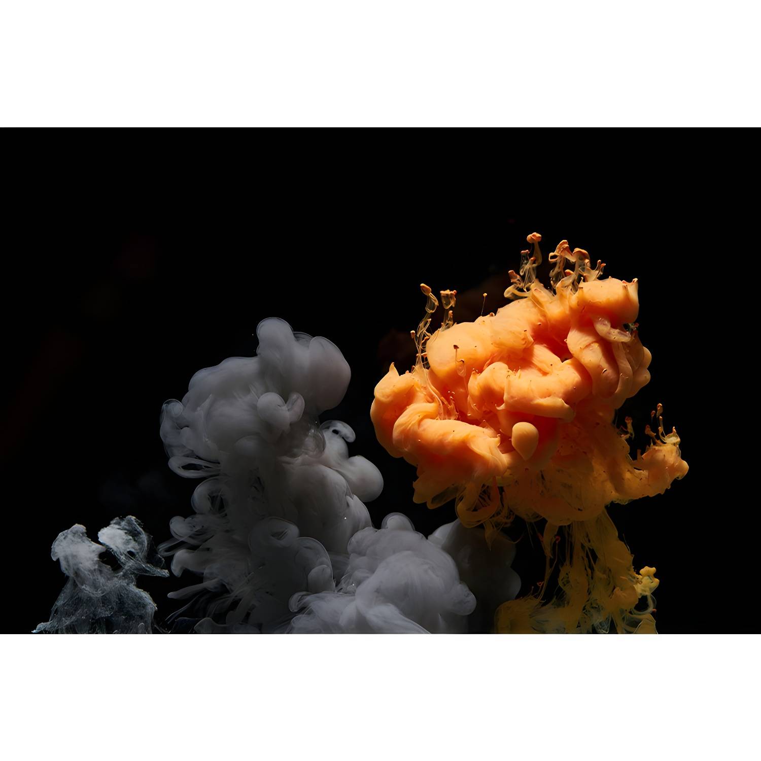 Imported image 68a6af324f38 3342304.jpg