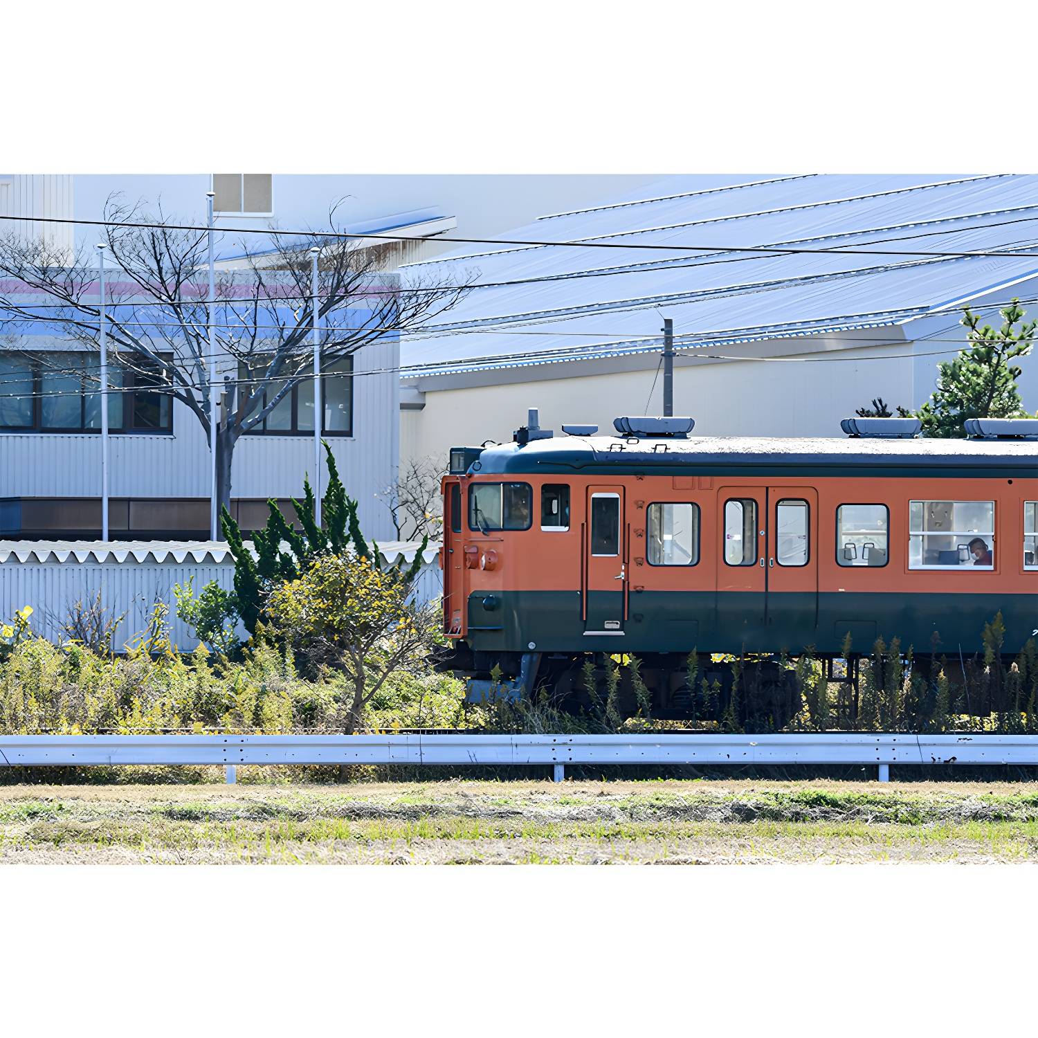 Imported image d68e936b3c85 3342614.jpg