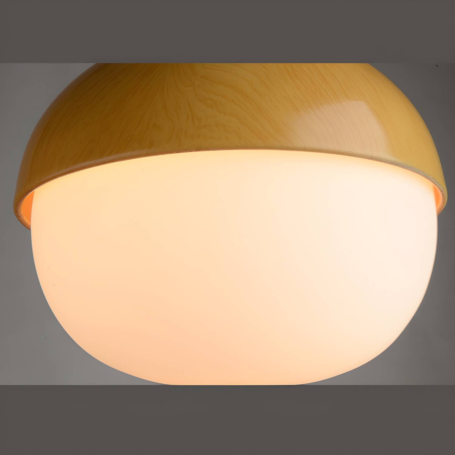 Imported image 23ea5044e89b 3350856.jpg