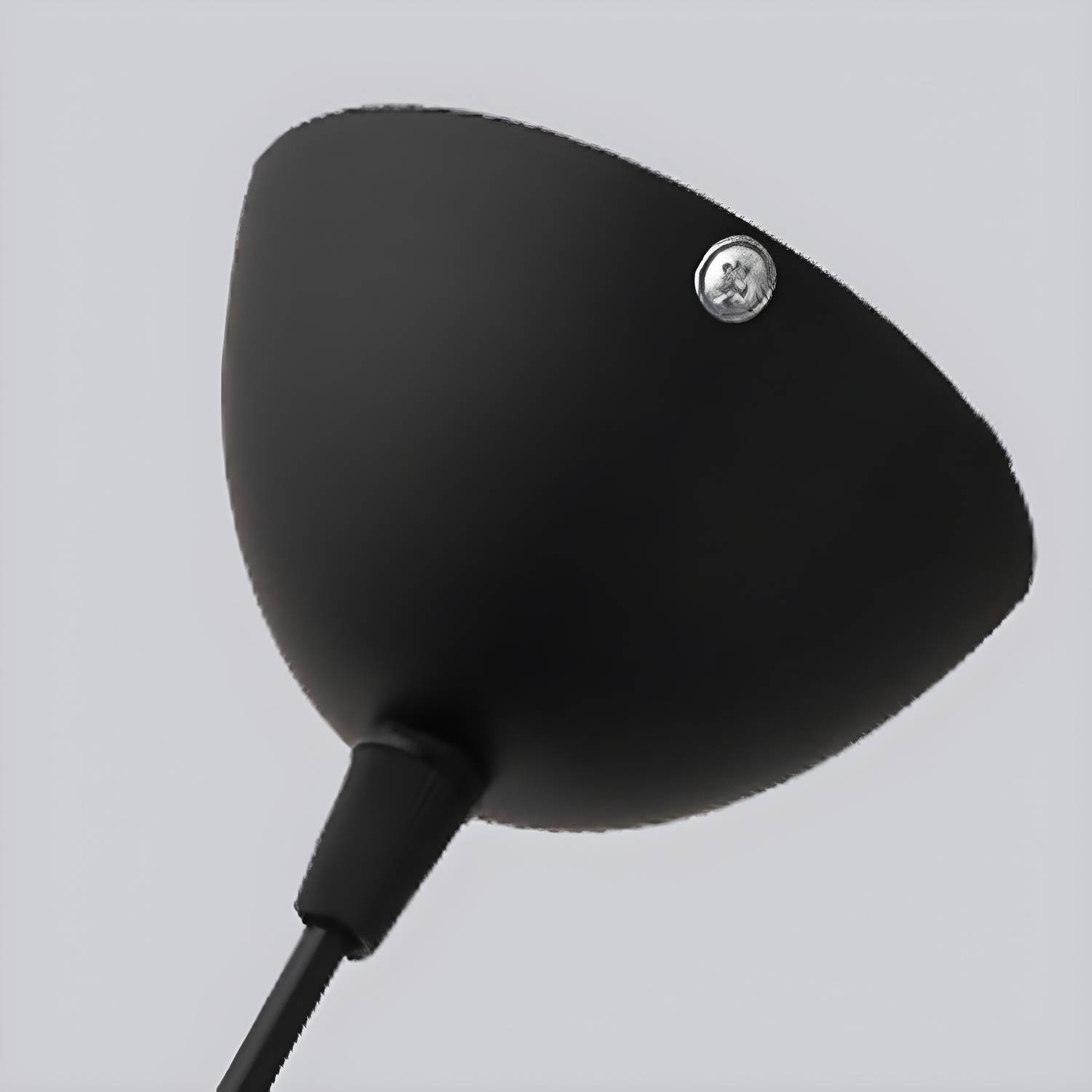 Imported image 4ac99af1b4d7 3351065.jpg