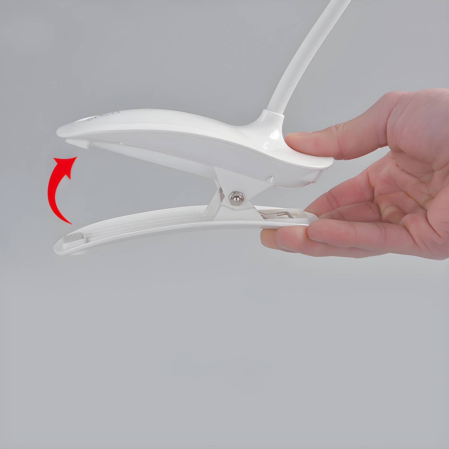 Imported image b082e699bd11 3351200.jpg