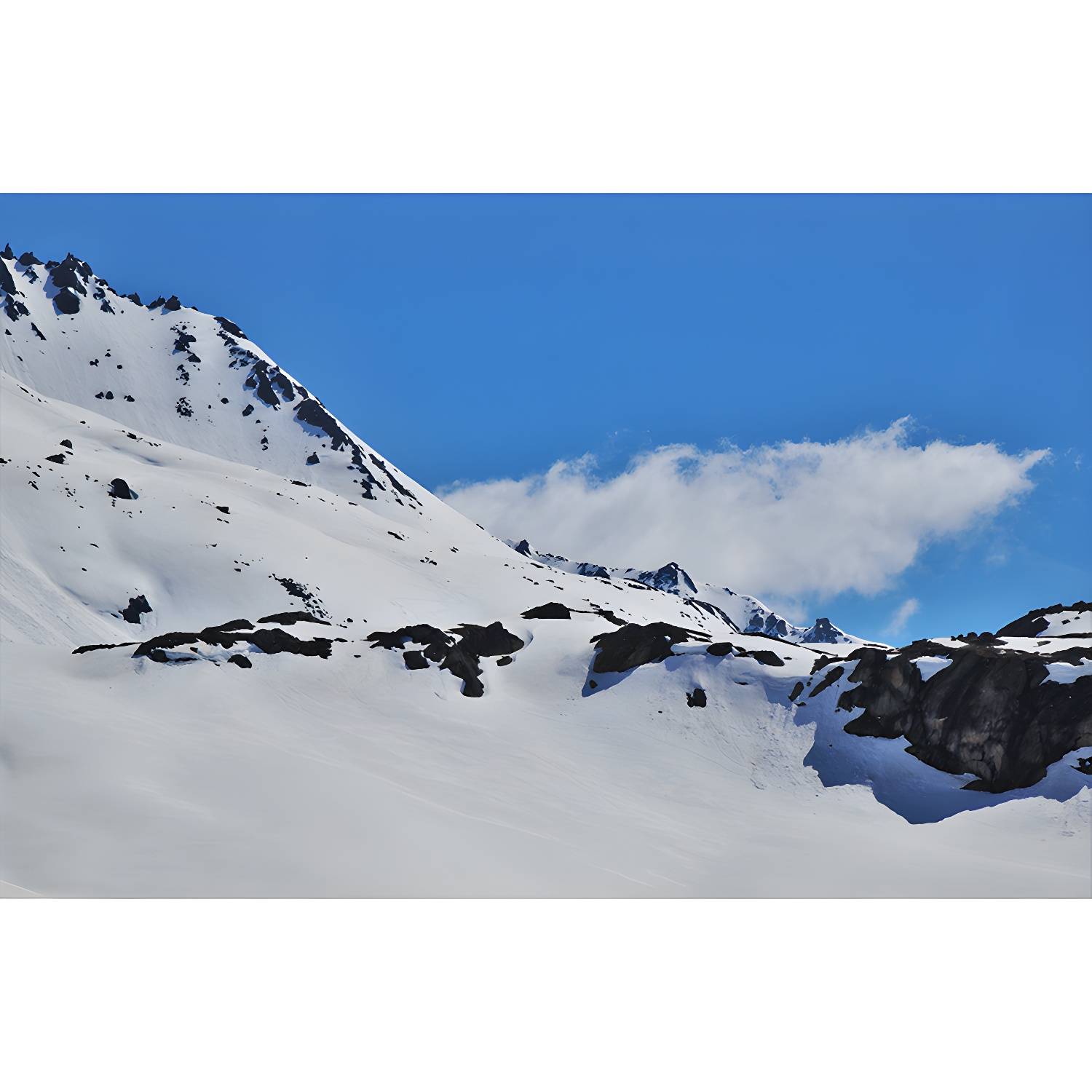 Imported image c5243817ae3d 3354474.jpg