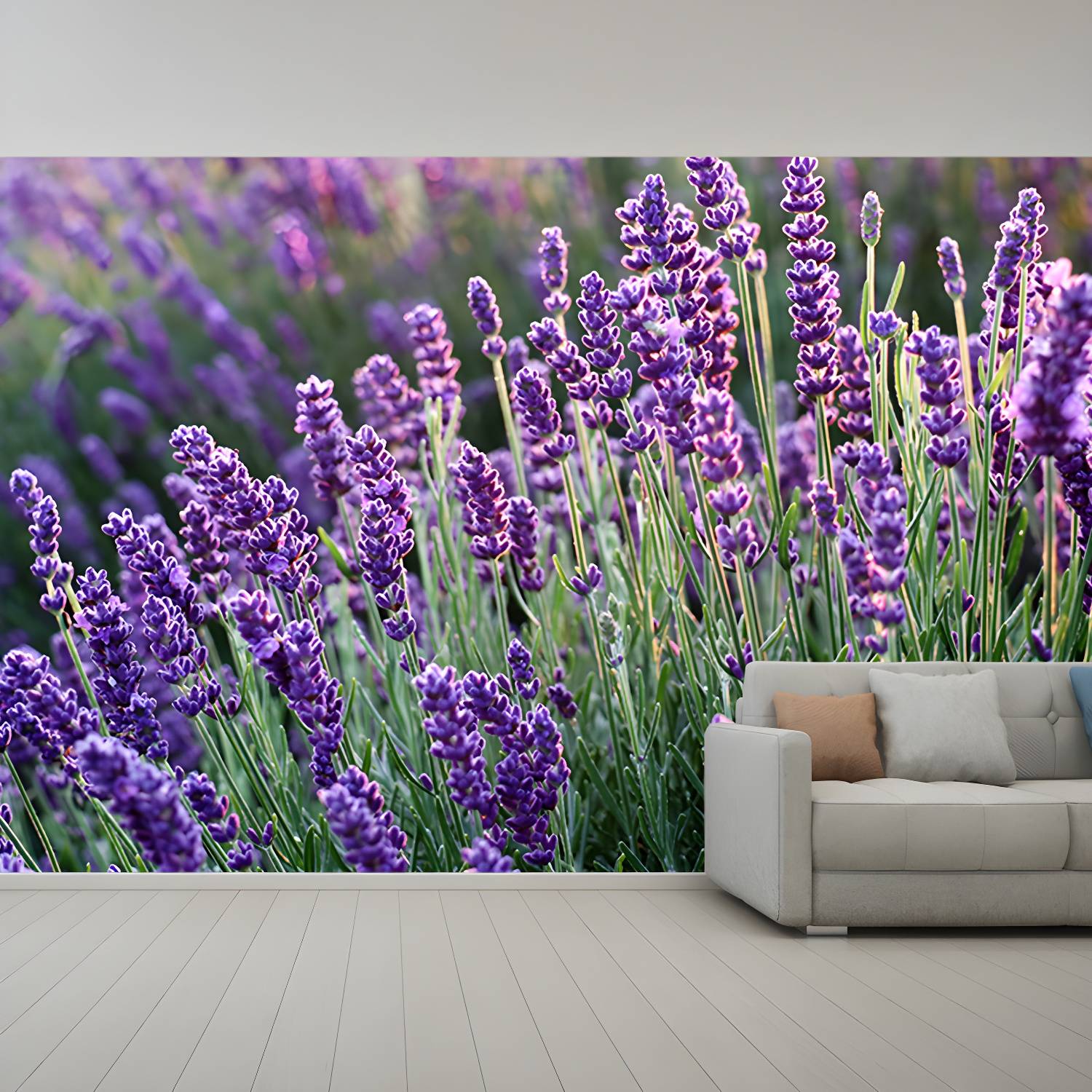 Imported image 4a344ecc1da8 3354730.jpg