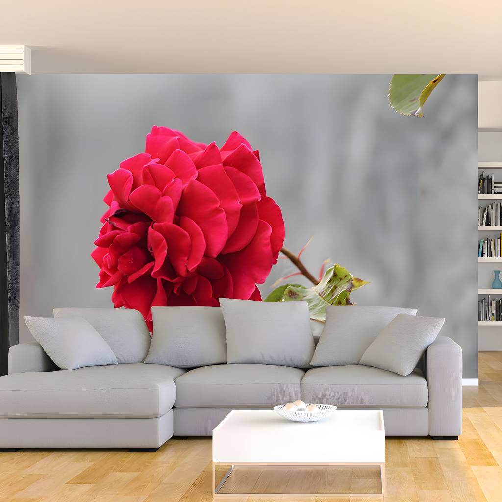 Imported image 55e688fce9f1 3354759.jpg