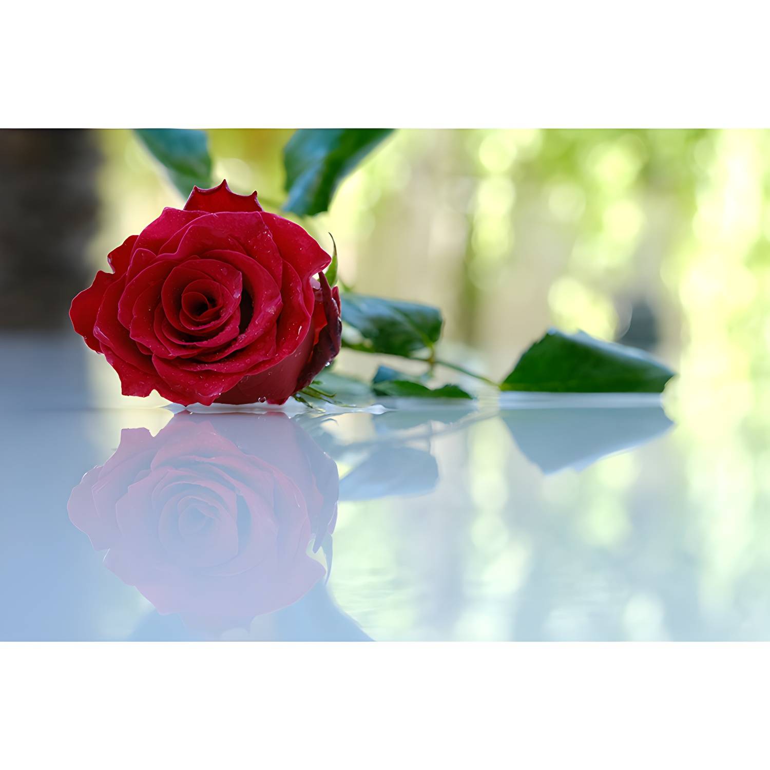 Imported image 46daee6c6005 3354768.jpg