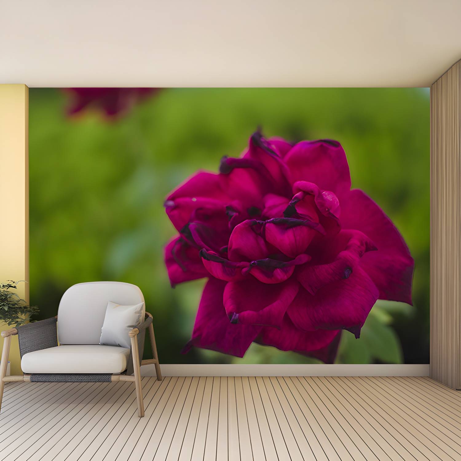 Imported image 8a3cb3a0ee3b 3354770.jpg