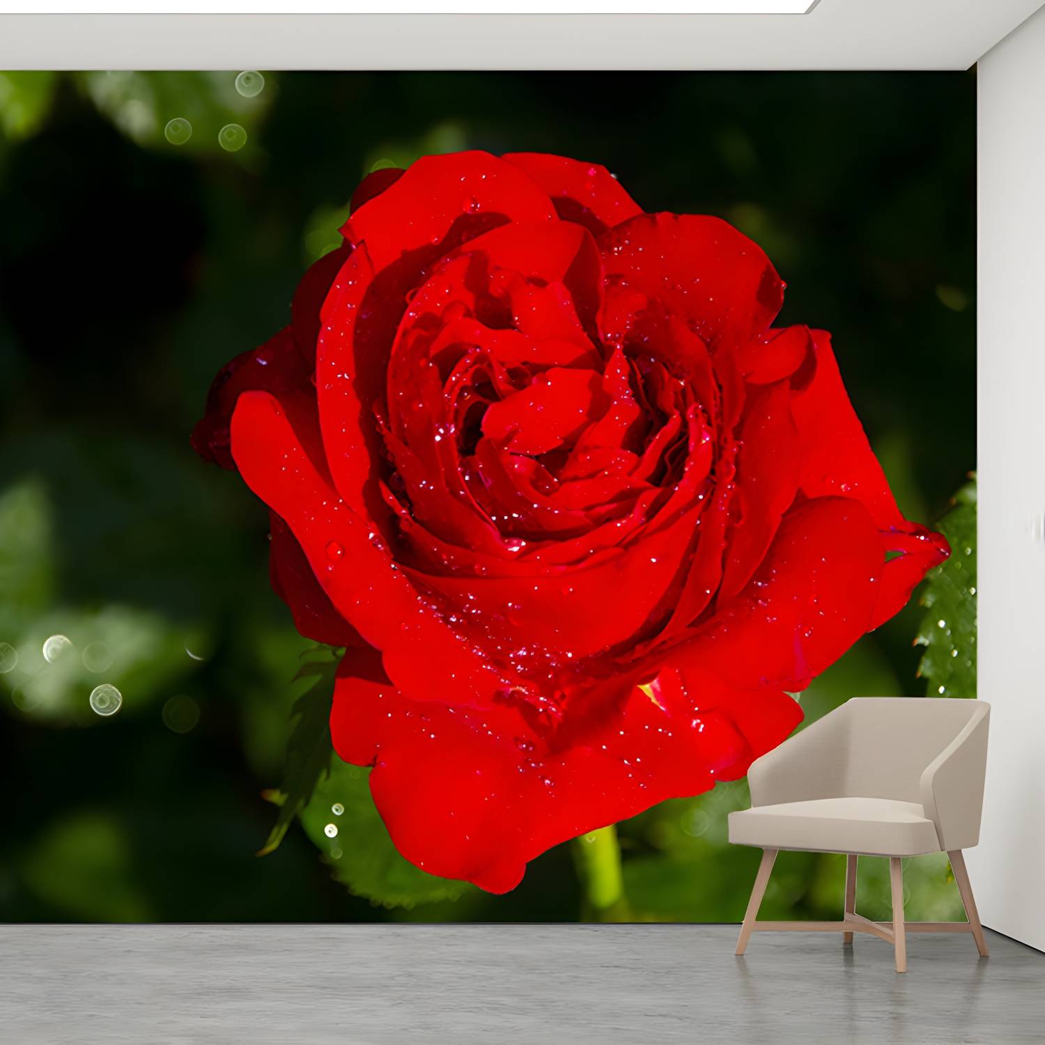 Imported image 422eebb6b37c 3354773.jpg