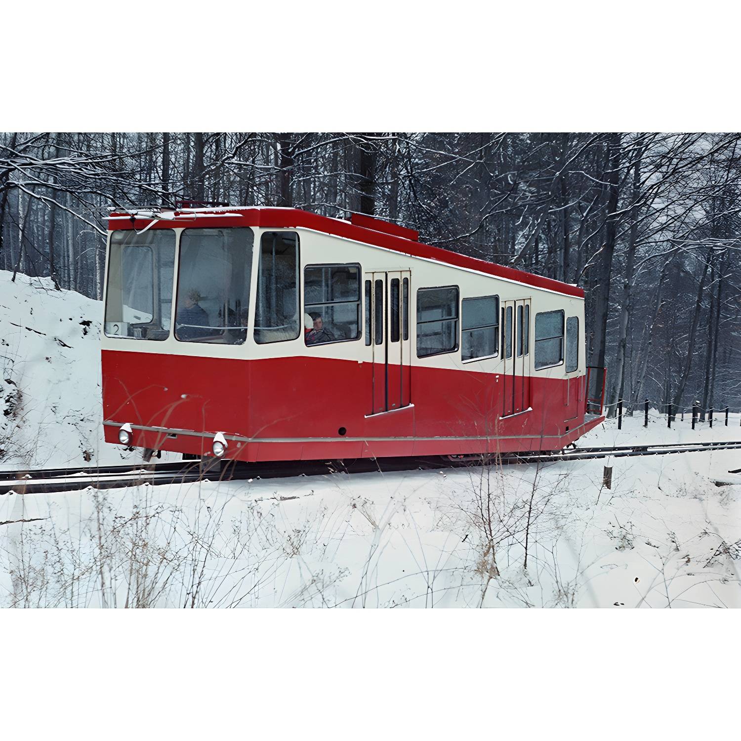 Imported image 4c23e9e6c476 3354816.jpg