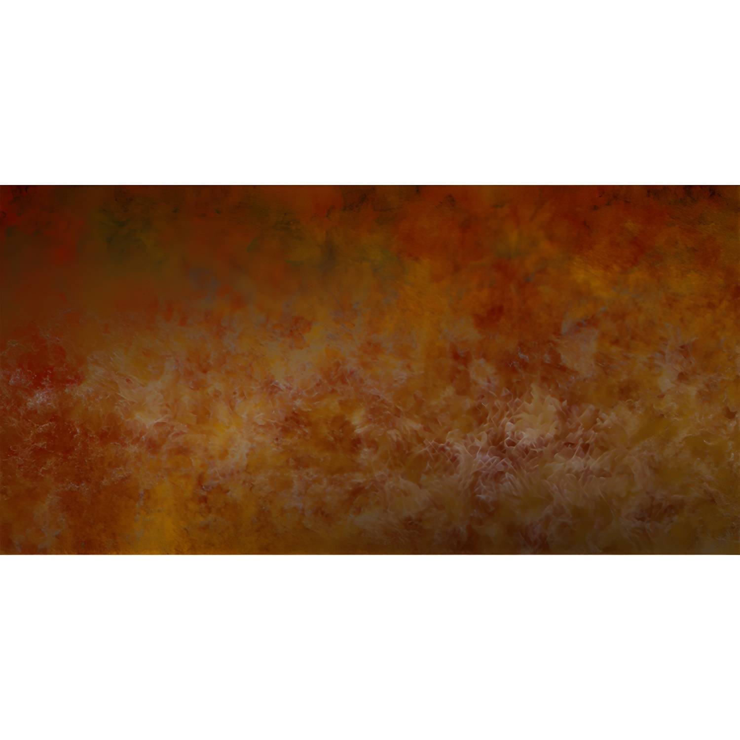 Imported image e858e9d30590 3354920.jpg