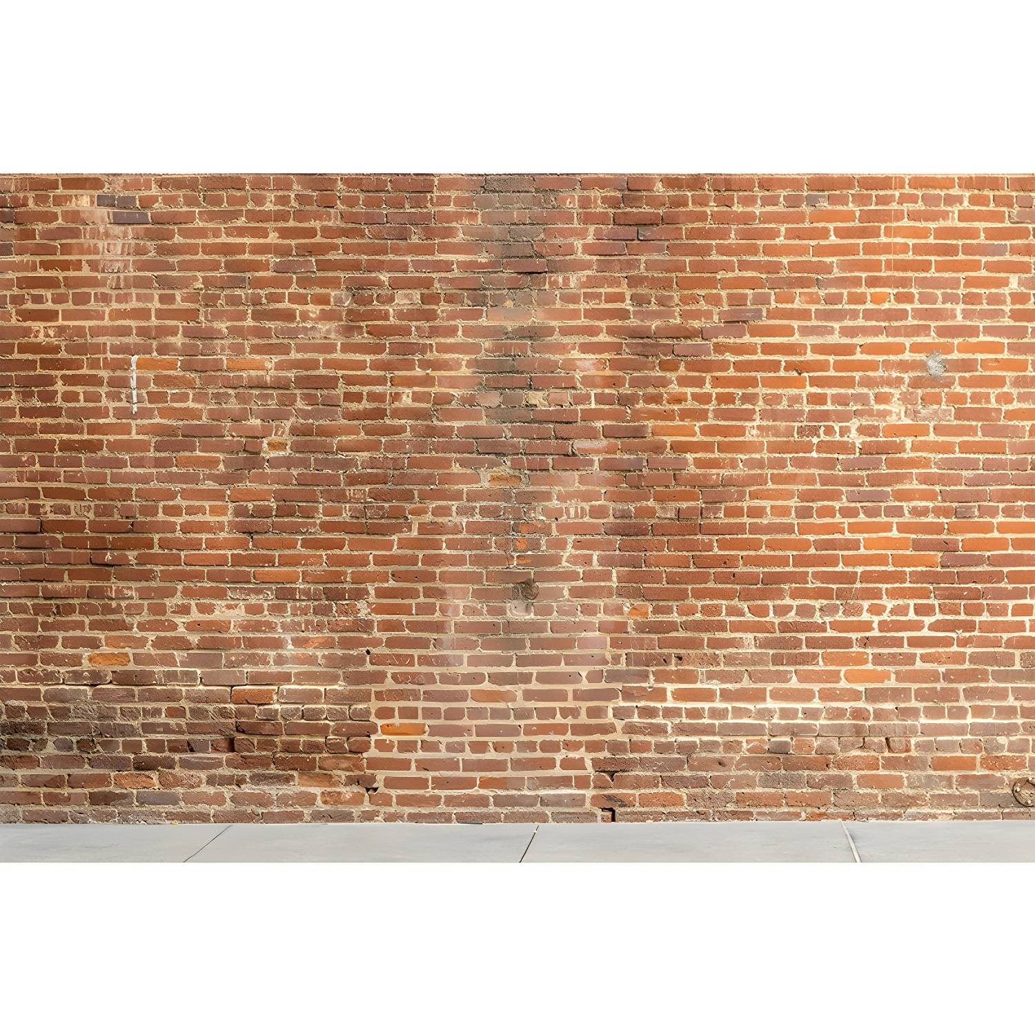 Imported image e6e052bdcb34 3355074.jpg