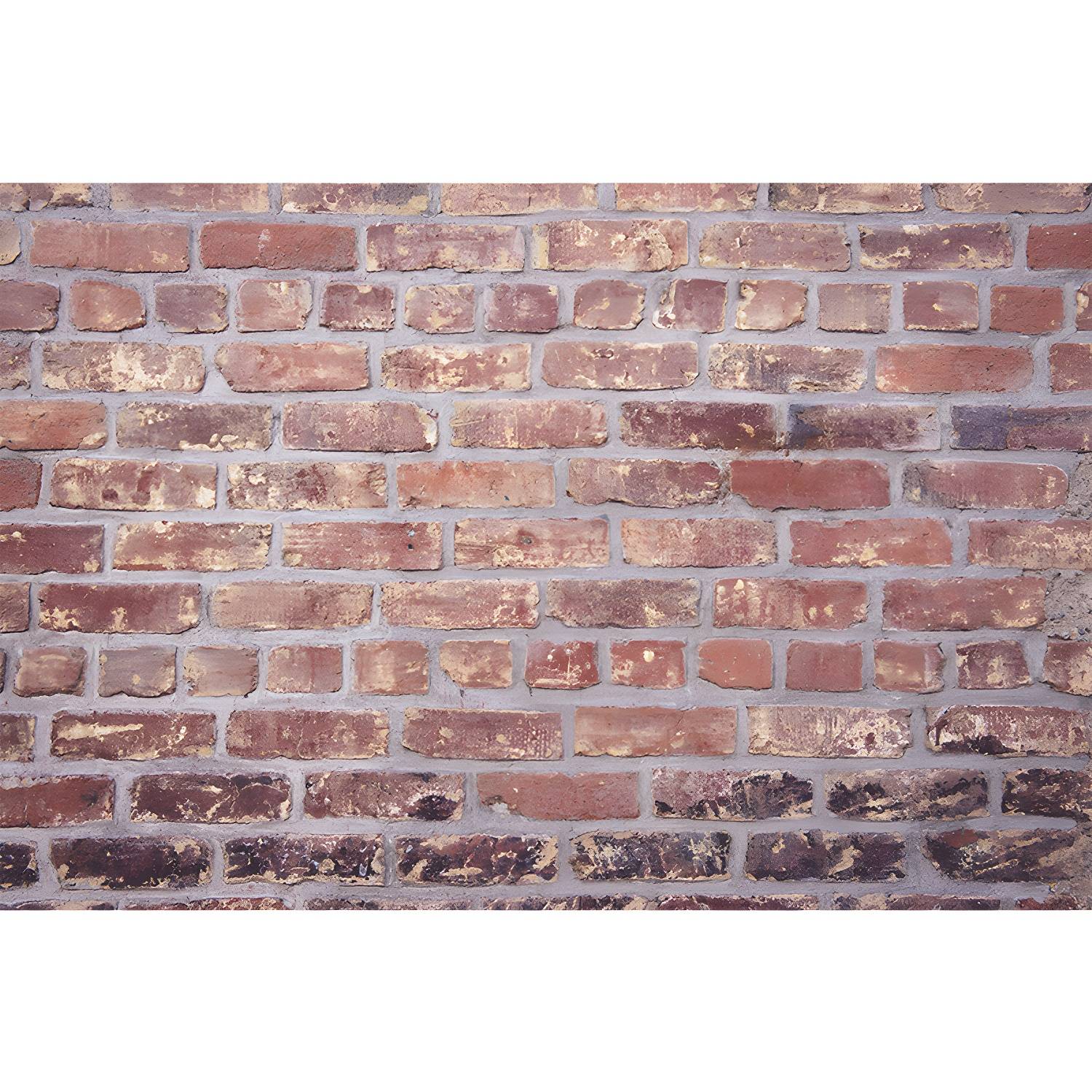 Imported image c4084c8aa9e9 3355104.jpg