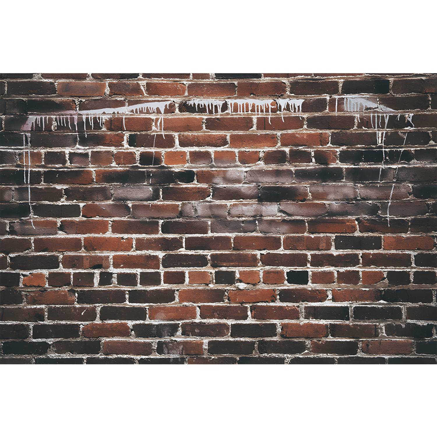 Imported image adabffc84fb5 3355118.jpg