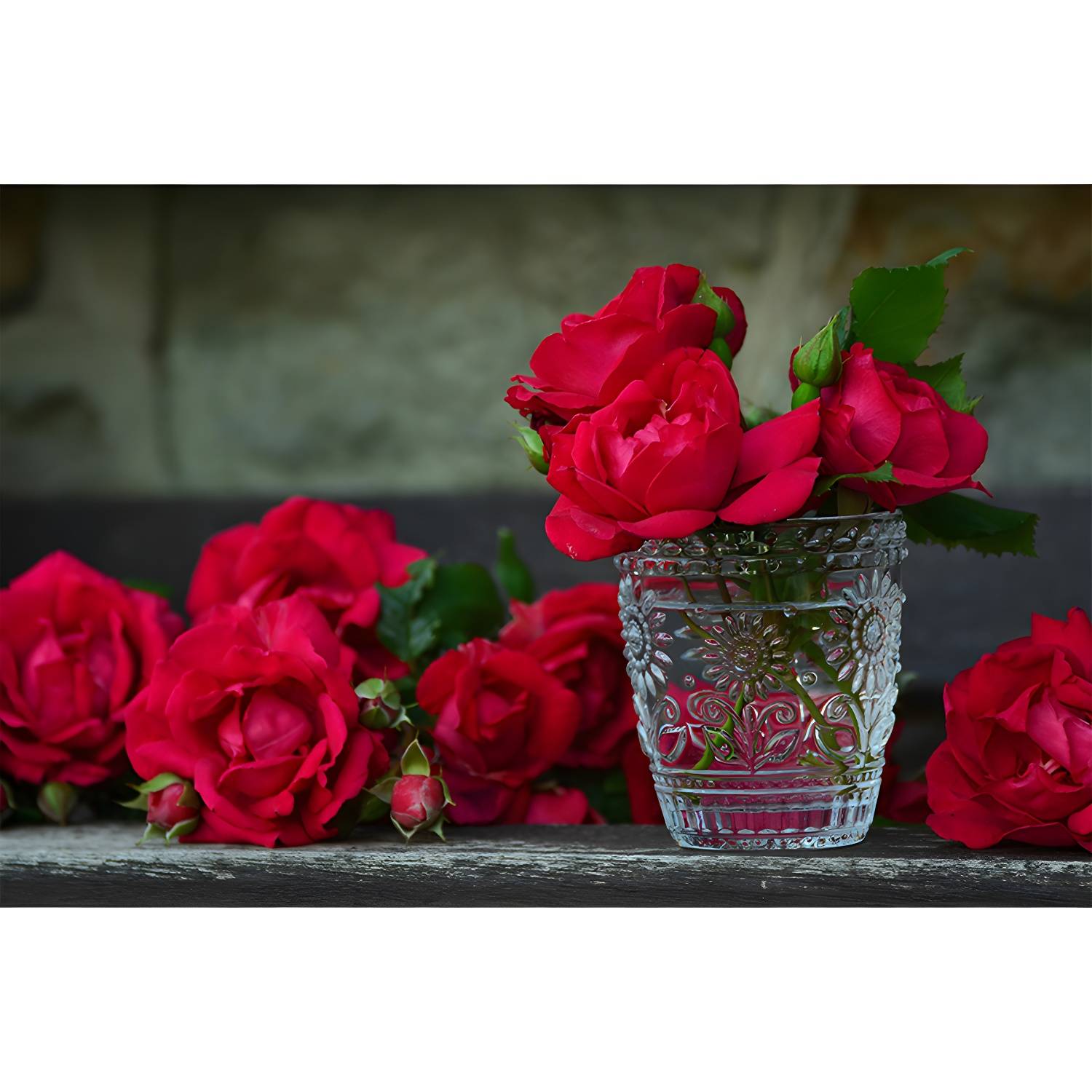 Imported image d1ce465f78f3 3355266.jpg