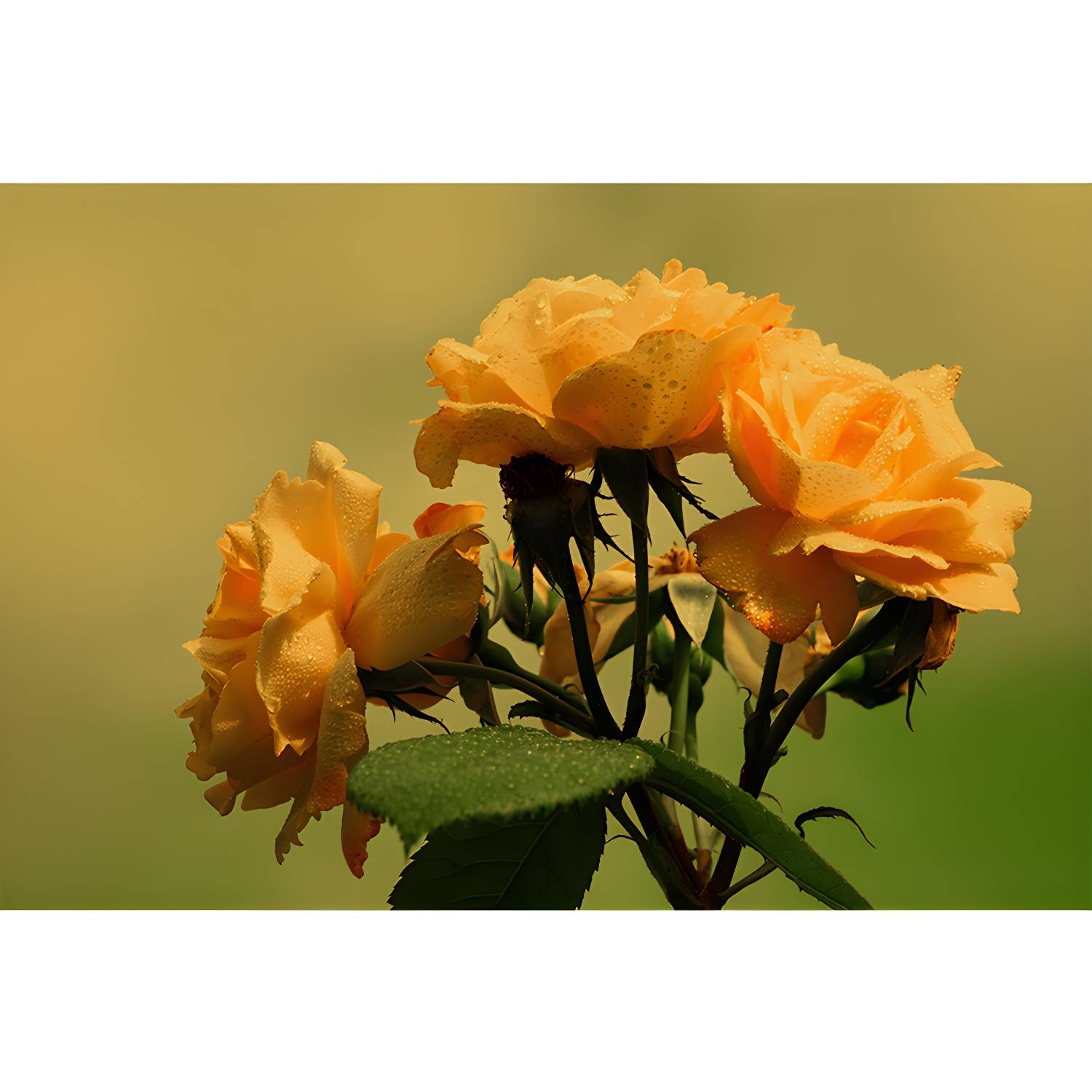 Imported image d846af80210b 3355276.jpg
