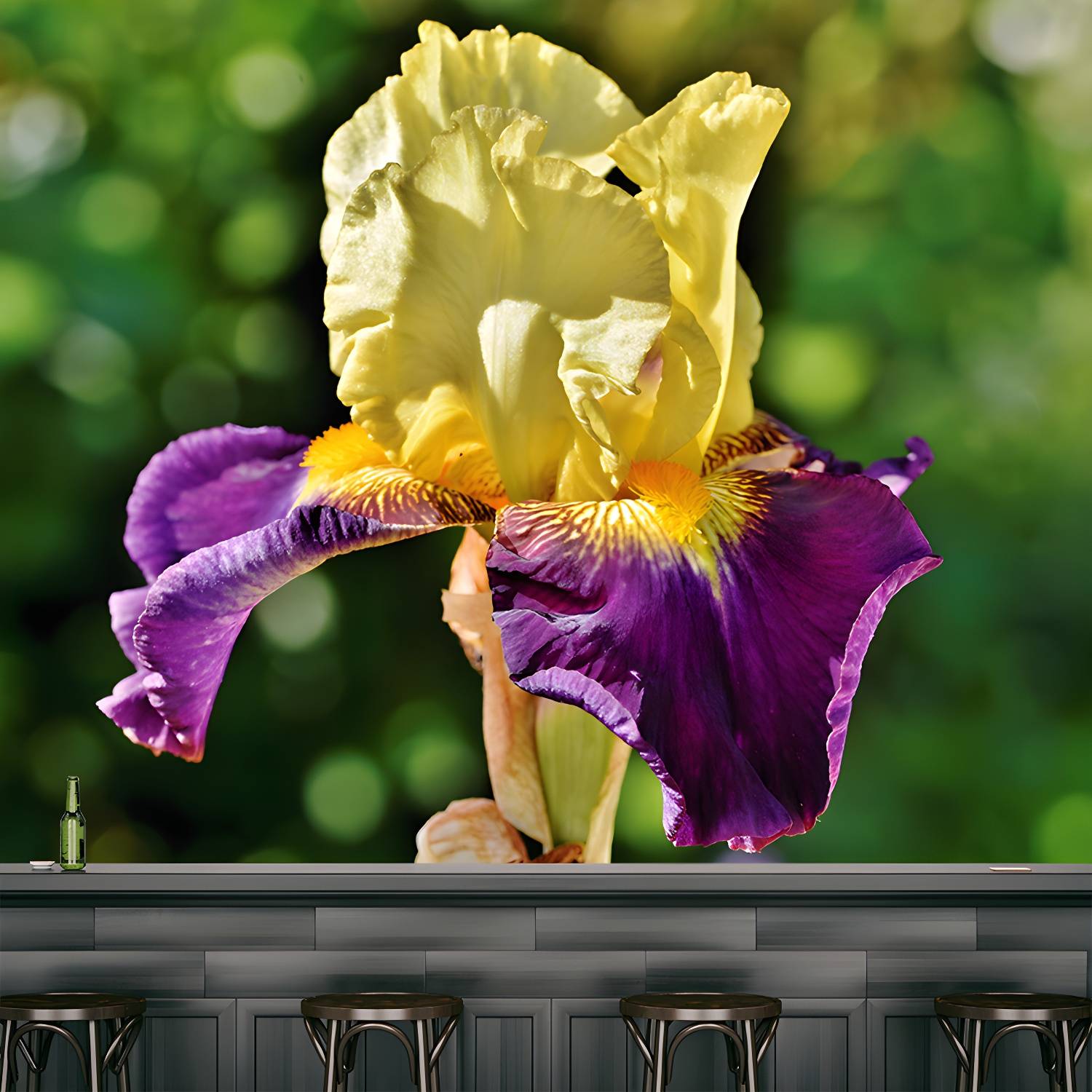 Imported image 2ebb96e4ff8a 3355306.jpg