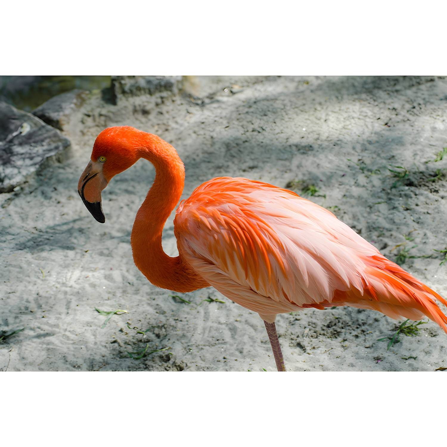 Imported image 139ebfc6d5a6 3355604.jpg