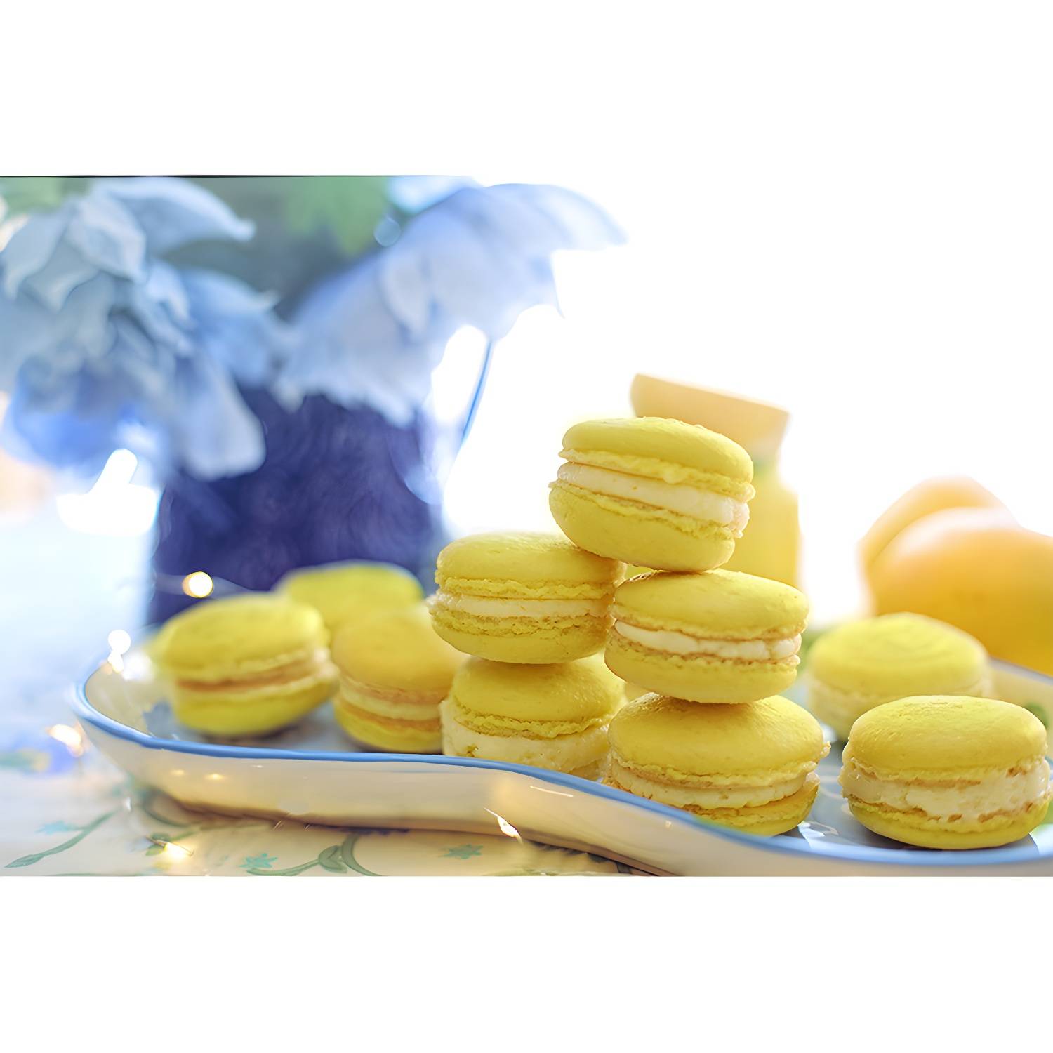 Imported image 0dcbda55b81a 3355644.jpg