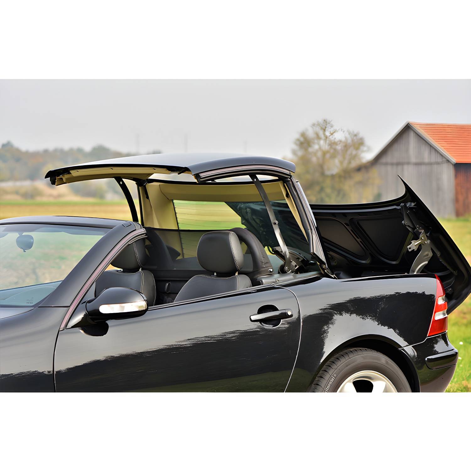 Imported image d86fac18e3dd 3356040.jpg