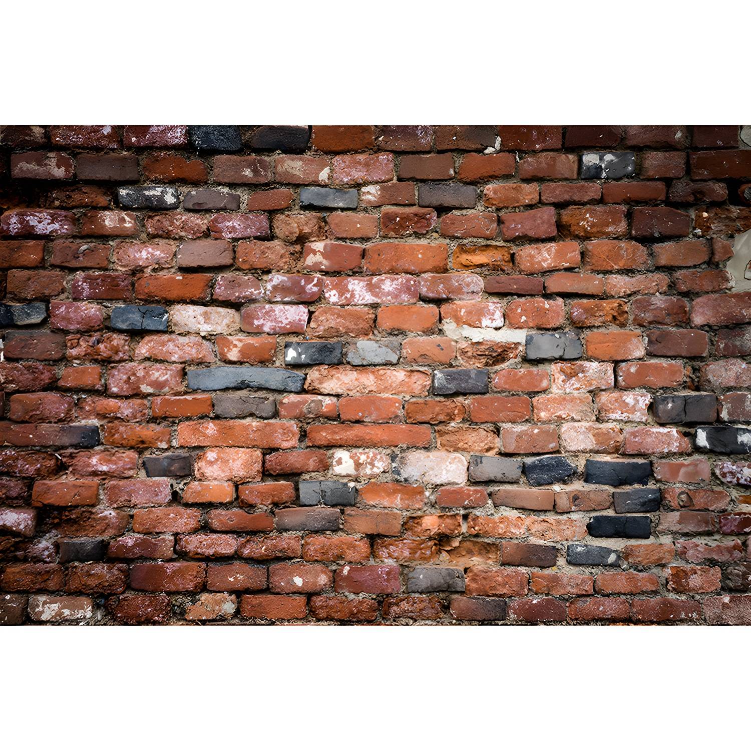 Imported image ac1aafca7336 3356252.jpg