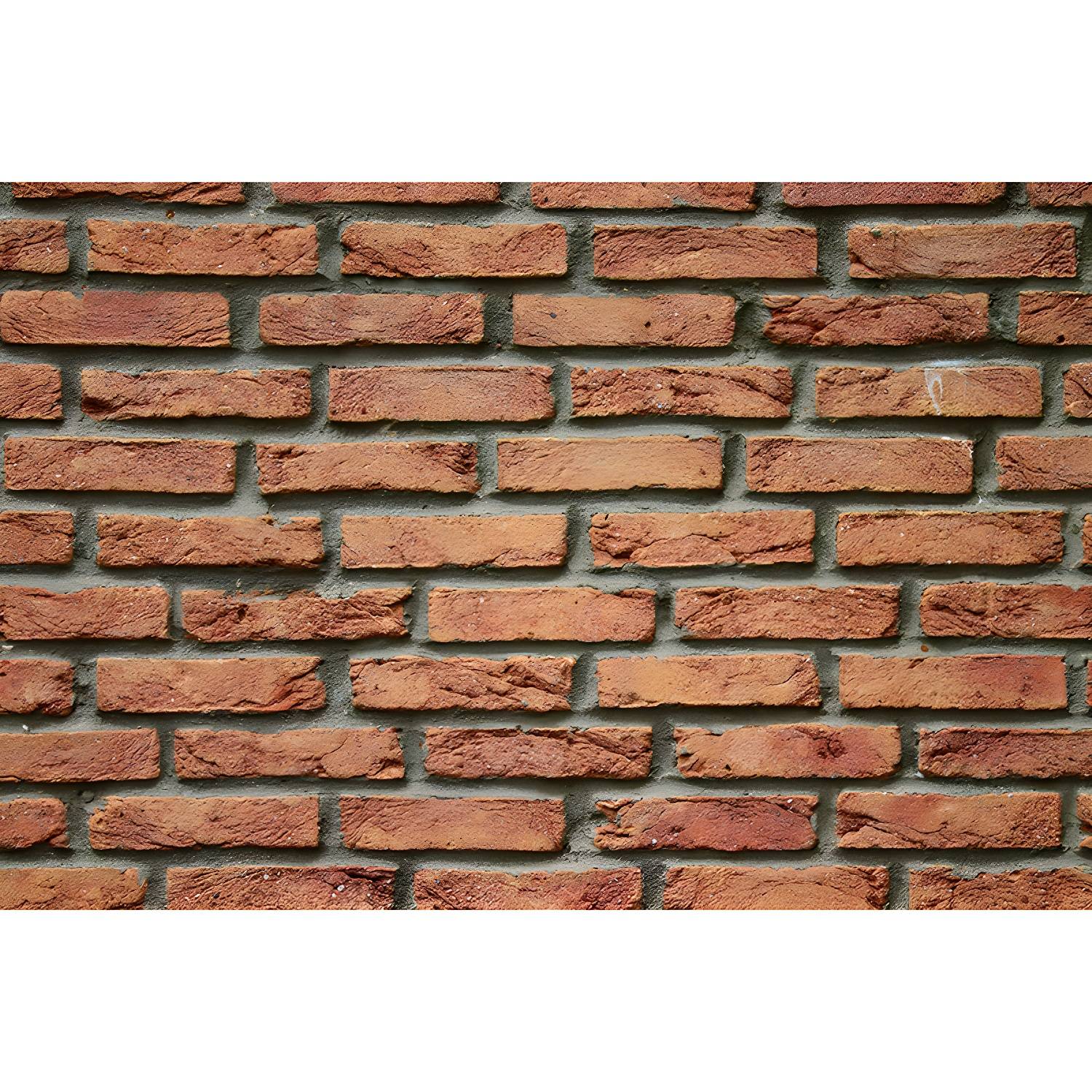 Imported image 7e7ab3398d8d 3356256.jpg