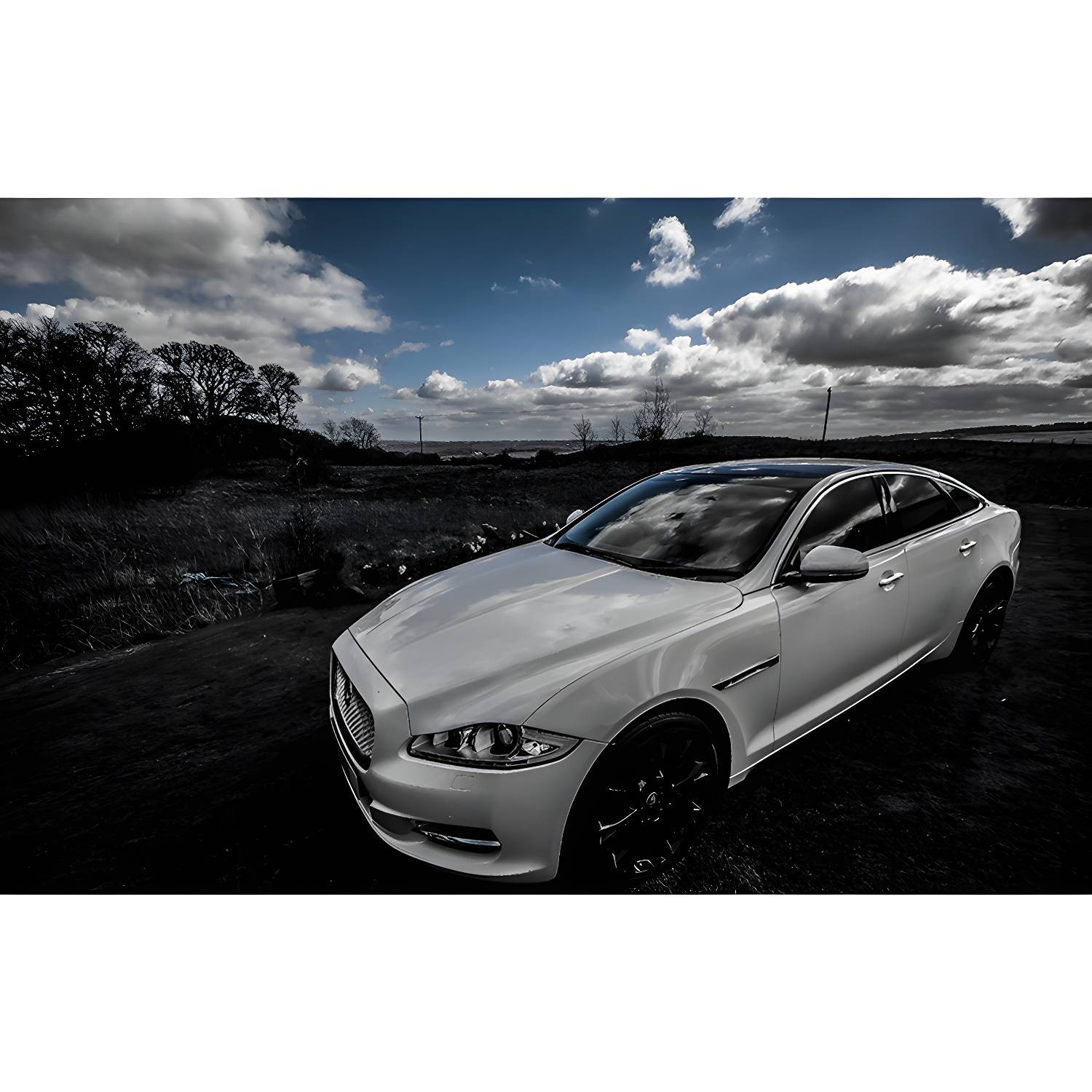 Imported image f83beb36462b 3356374.jpg