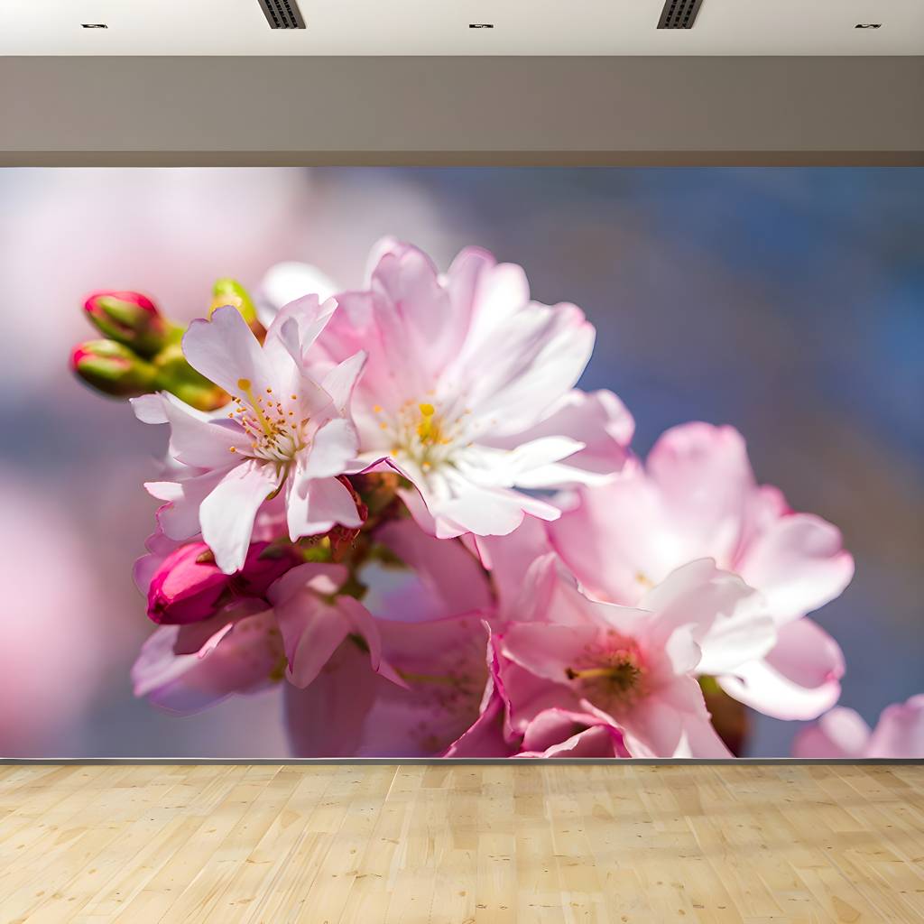 Imported image a2ade517c42b 3356415.jpg