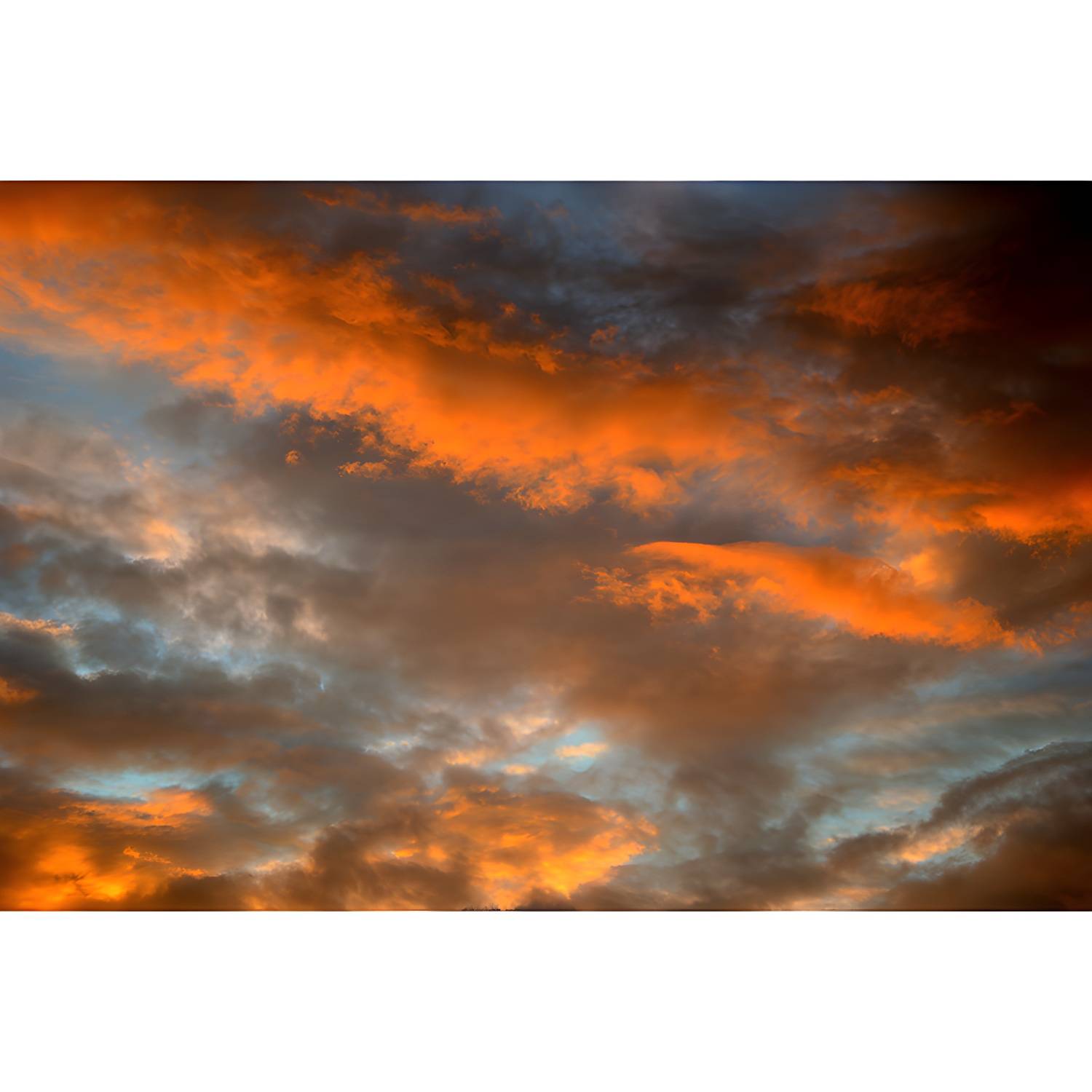 Imported image b29d9aae57cb 3356586.jpg