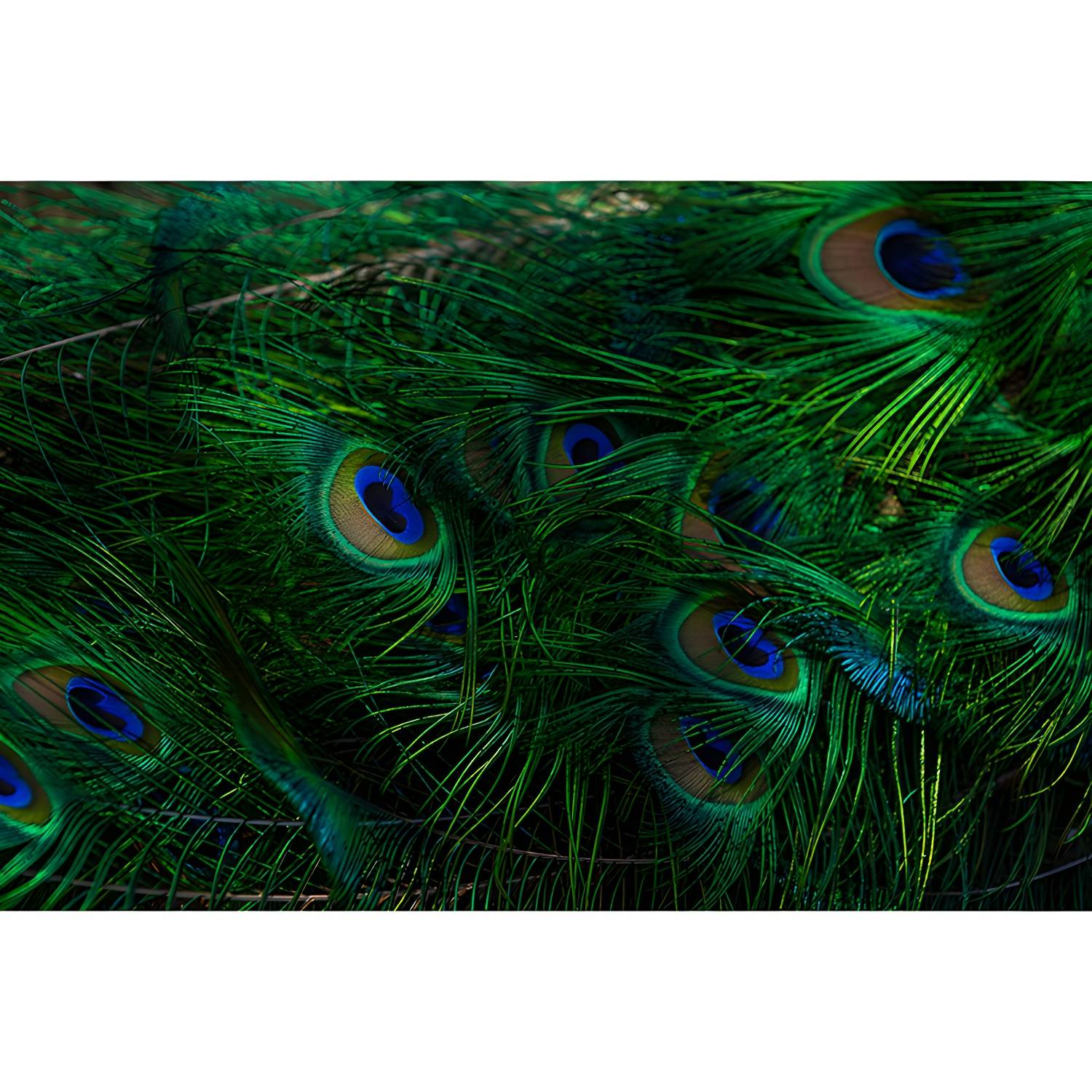Imported image 62199780187b 3356616.jpg
