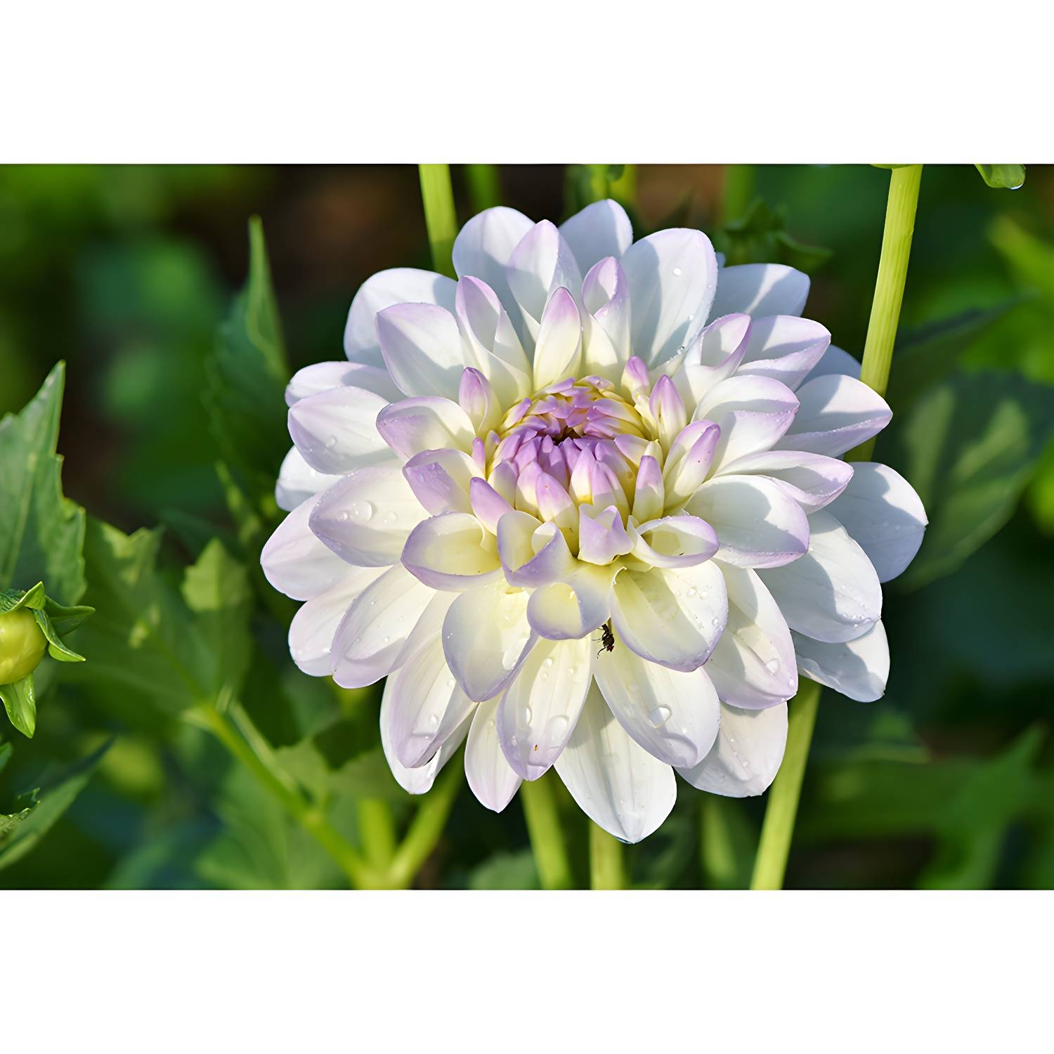 Imported image d0b379aabd61 3356770.jpg