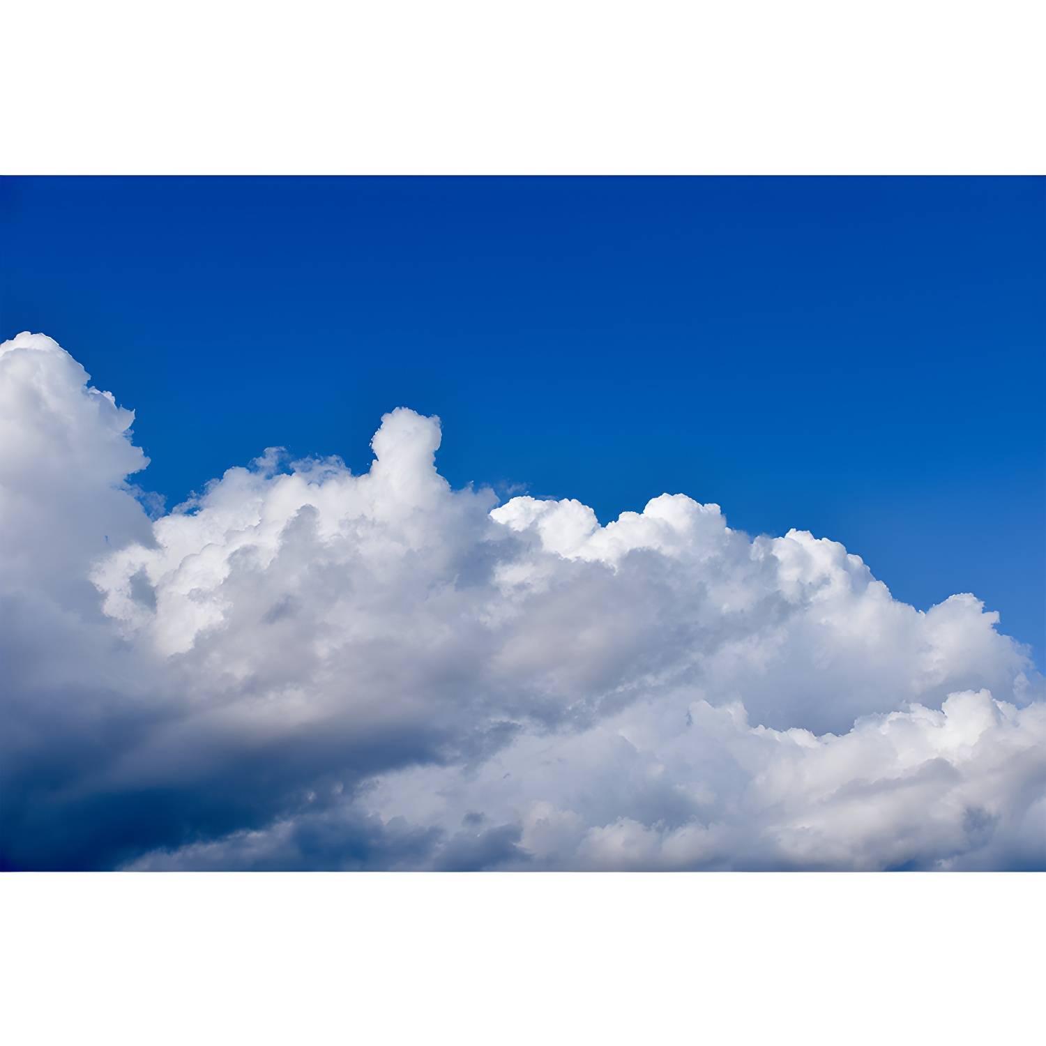 Imported image 15227fa102b2 3356814.jpg