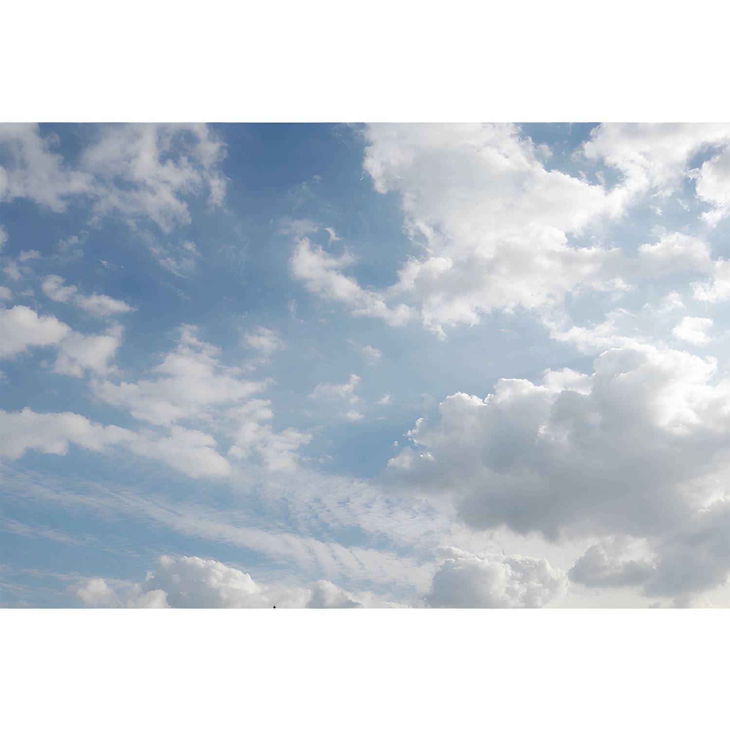 Imported image ce0b405ca4f2 3356828.jpg