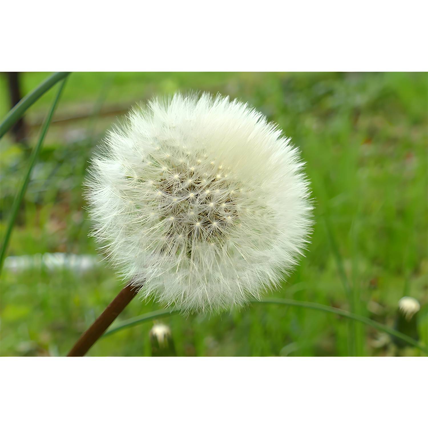 Imported image ec3571a8d6a8 3356922.jpg