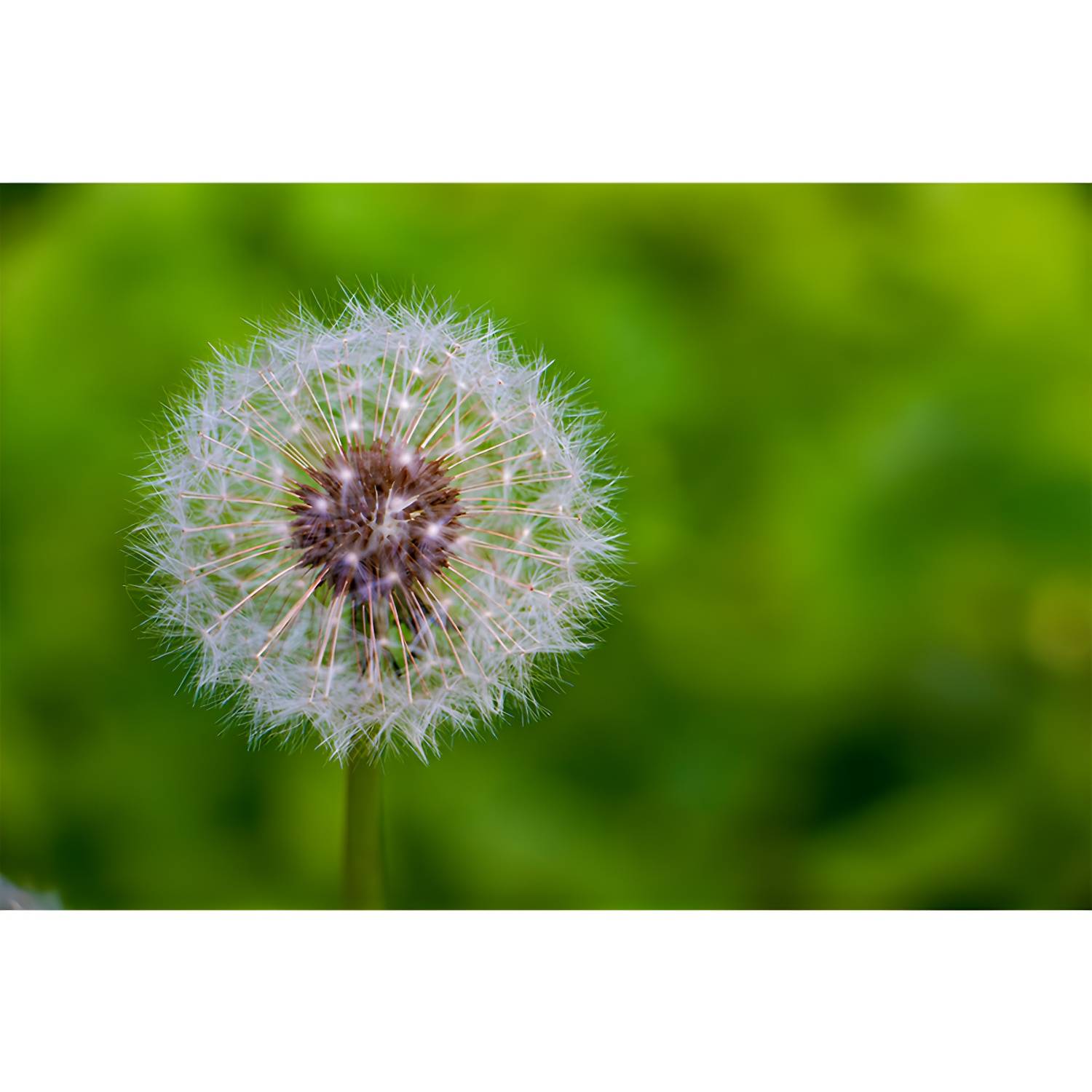 Imported image d5fc8772aac7 3356928.jpg