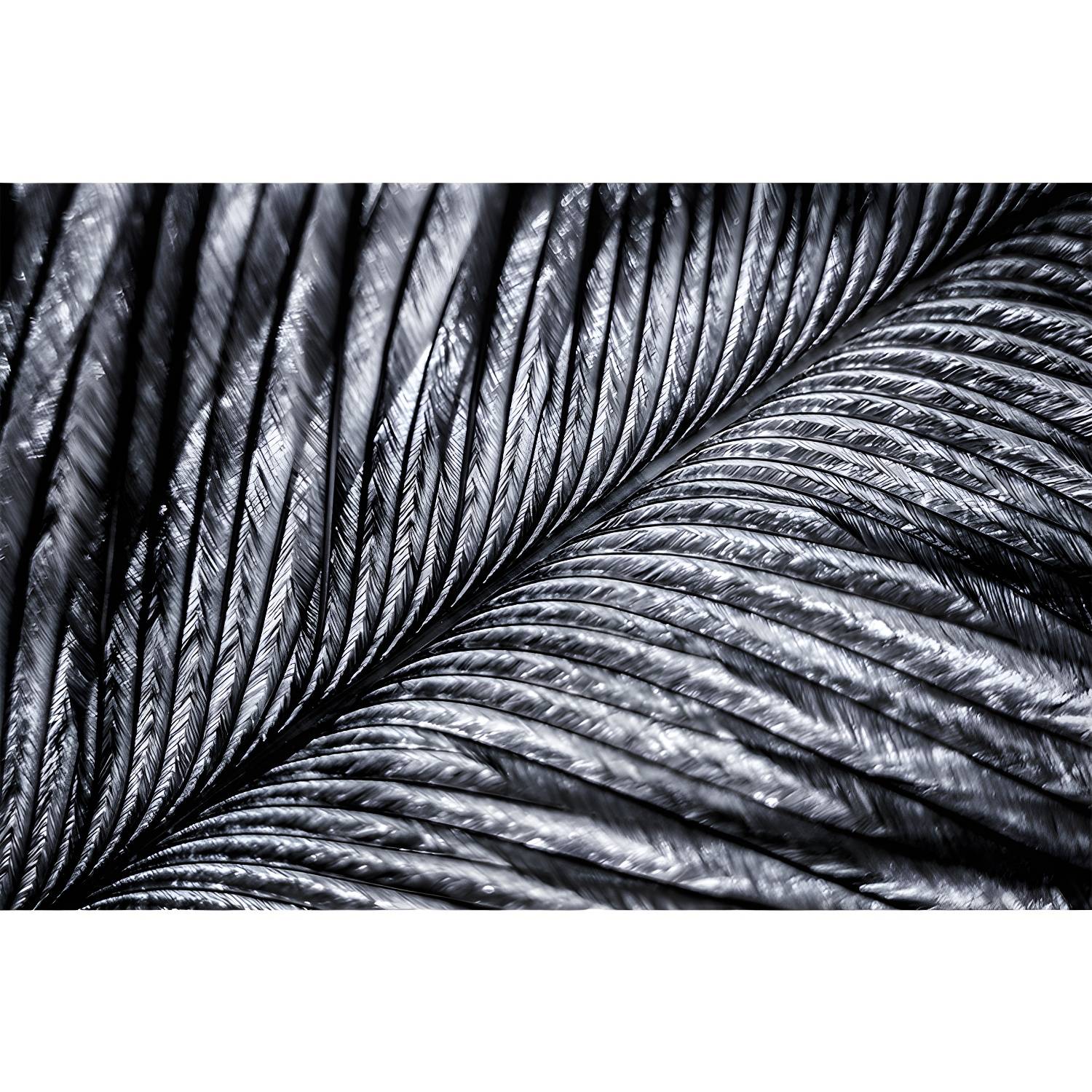 Imported image 774aa60891df 3357090.jpg