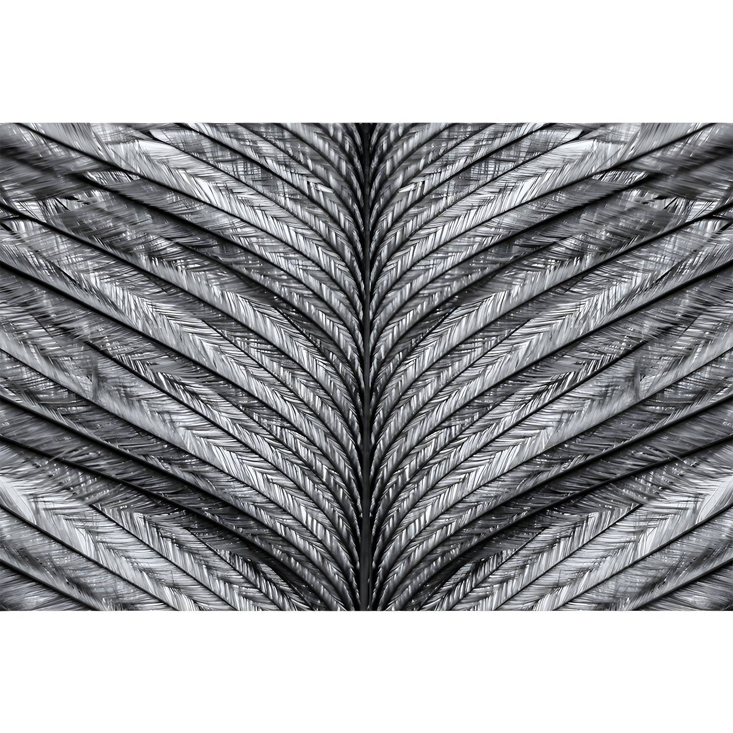 Imported image e0f12e32d654 3357094.jpg