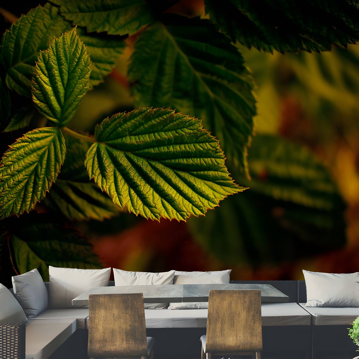 Imported image ad4de2fd4ed4 3357235.jpg