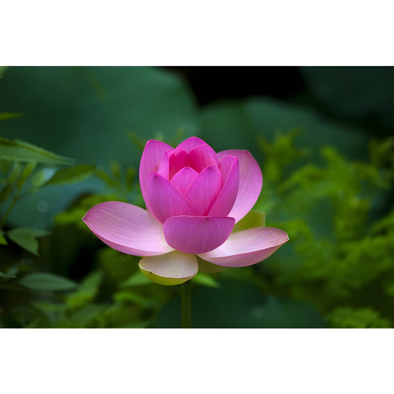 Imported image 30983076d017 3357342.jpg