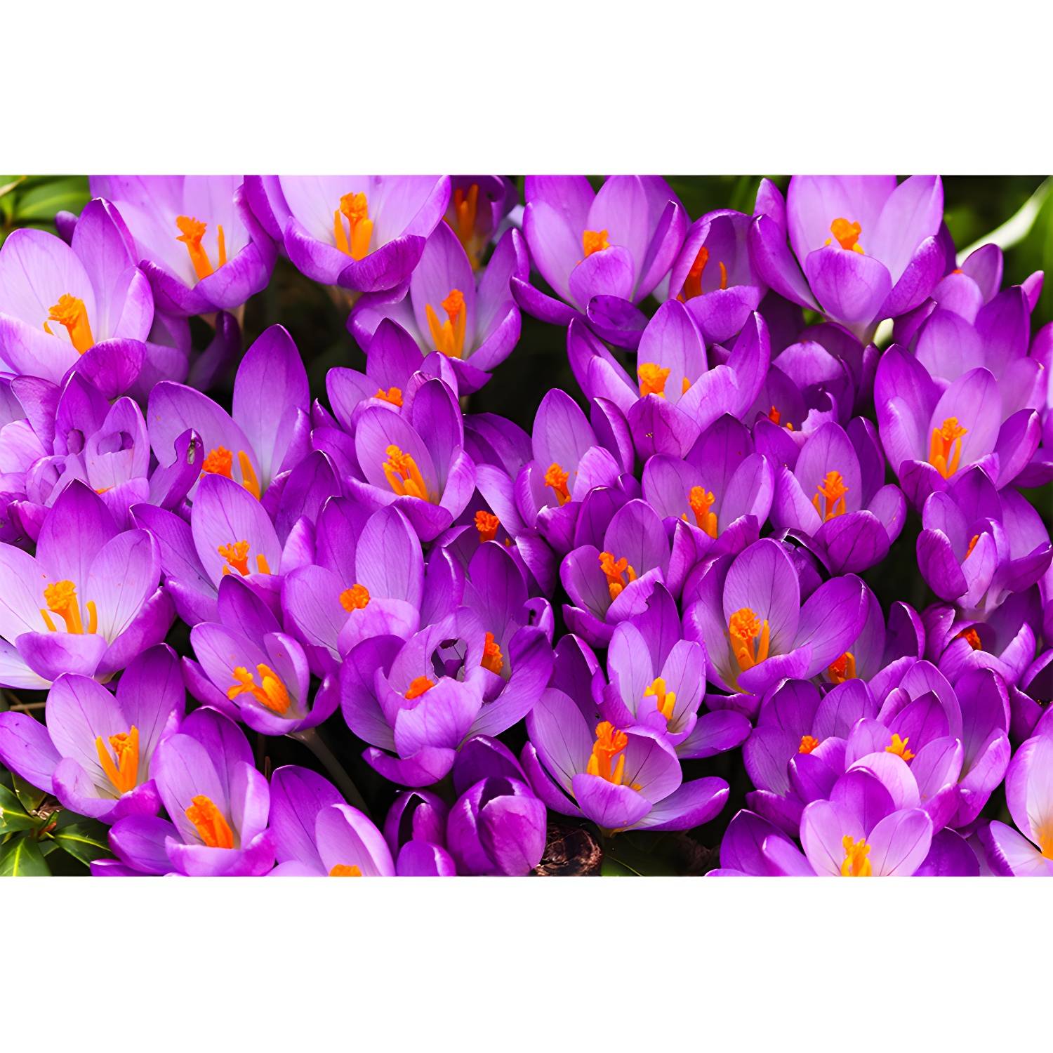 Imported image a13f2bb59238 3357760.jpg