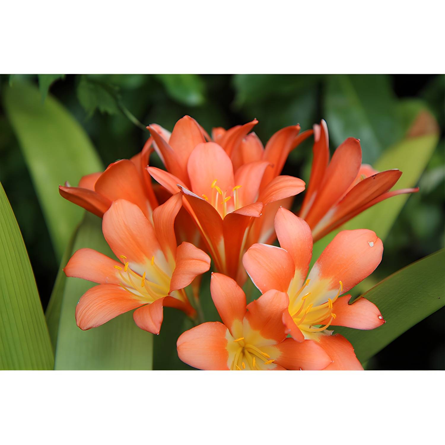 Imported image c95e085911de 3357774.jpg