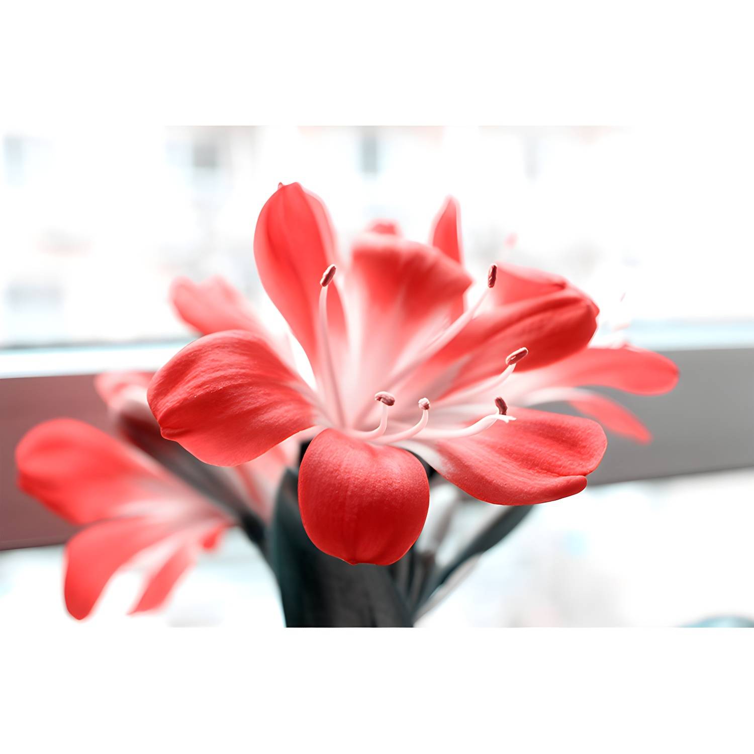 Imported image 88f330a8d465 3357778.jpg