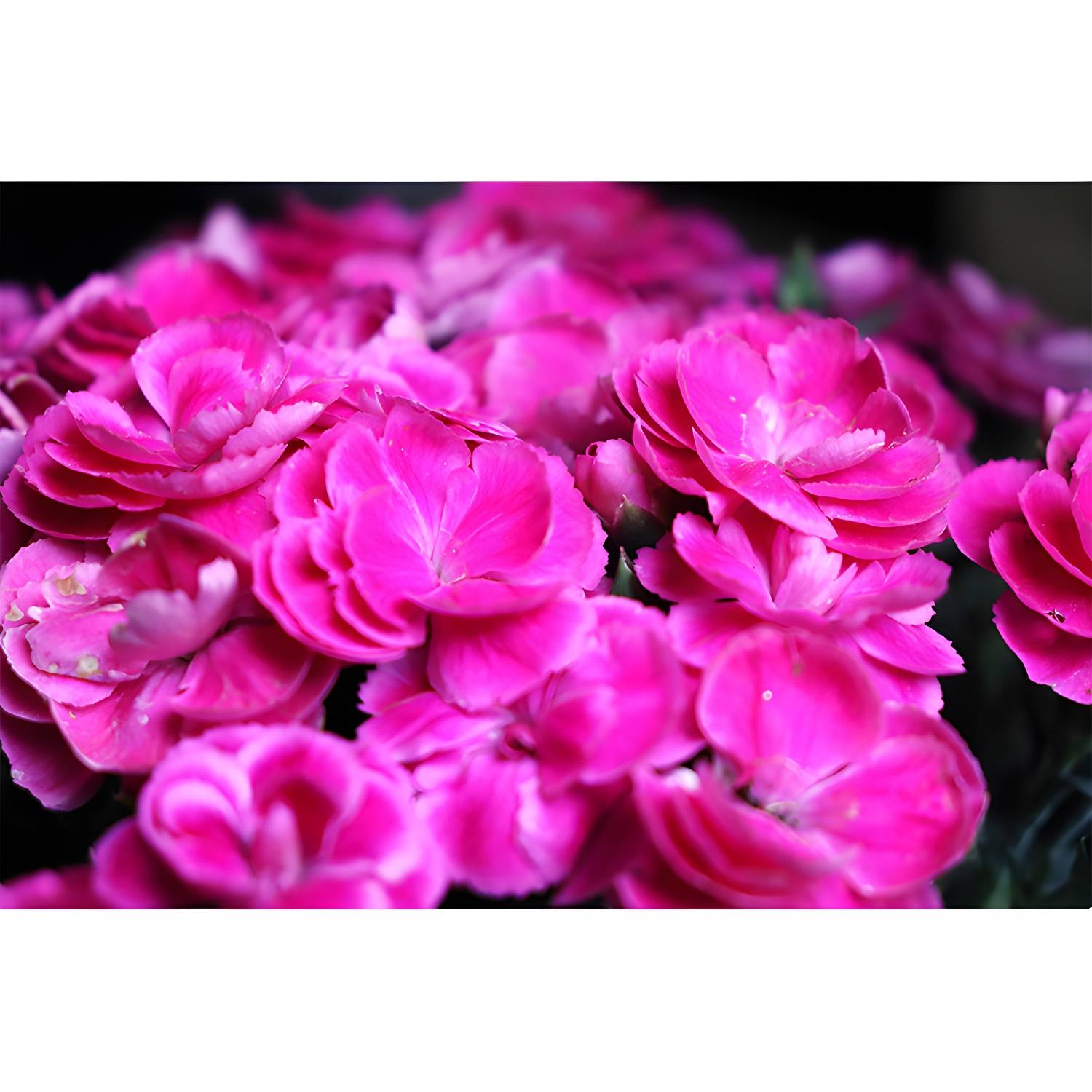 Imported image 673d028a4733 3357796.jpg