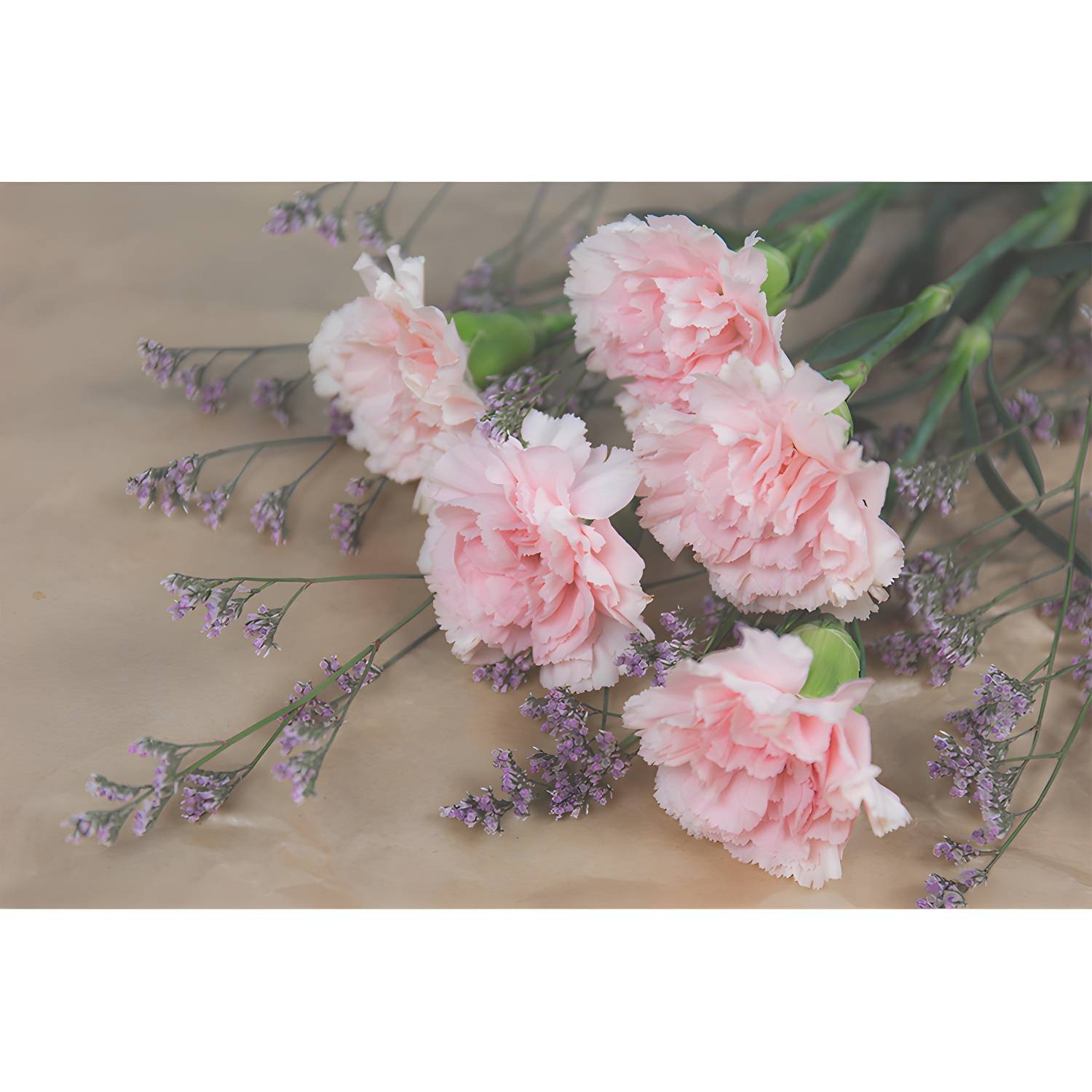 Imported image 3d728ac05ab6 3357800.jpg